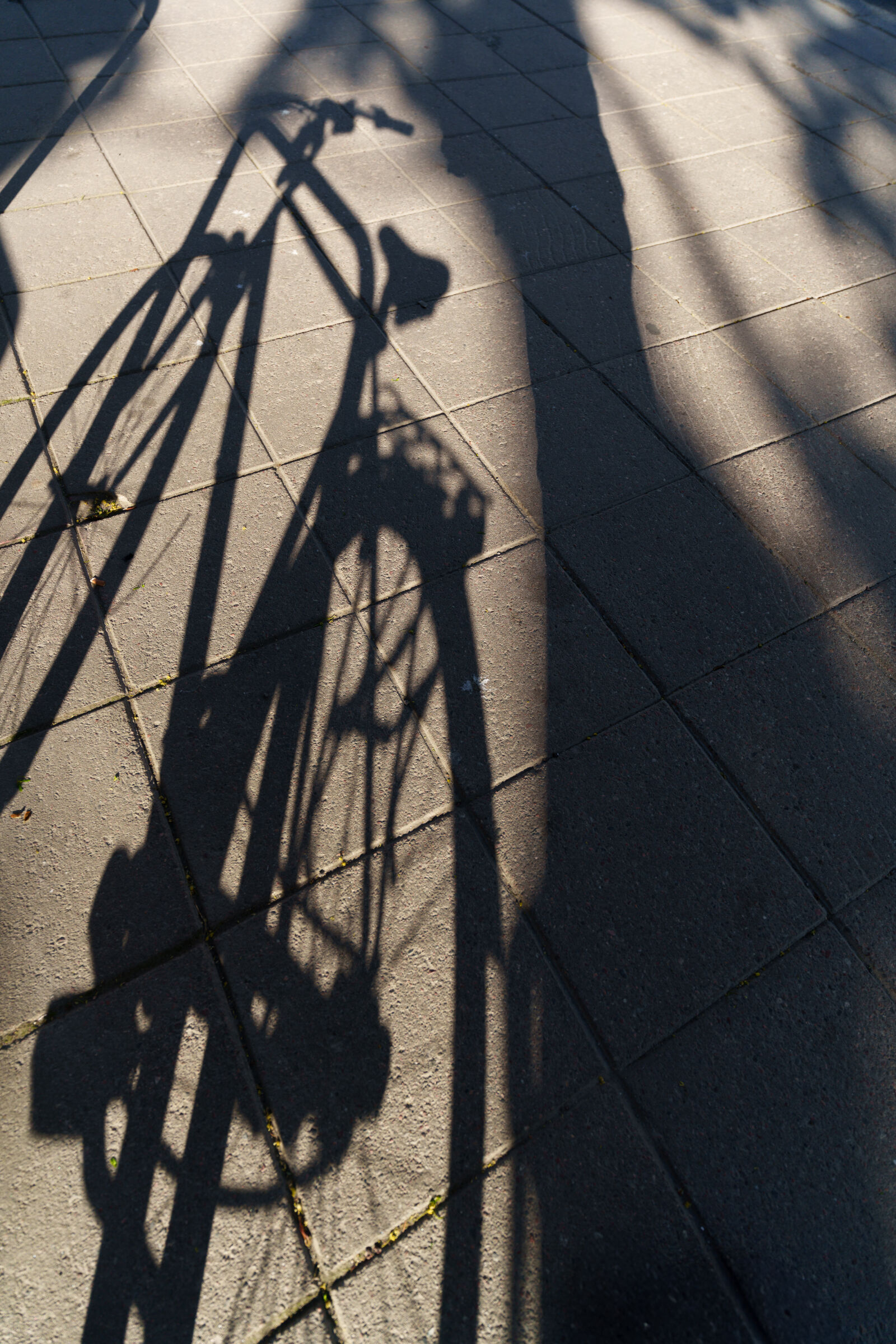 Sony a7R V sample photo. Bicycle shadow photography