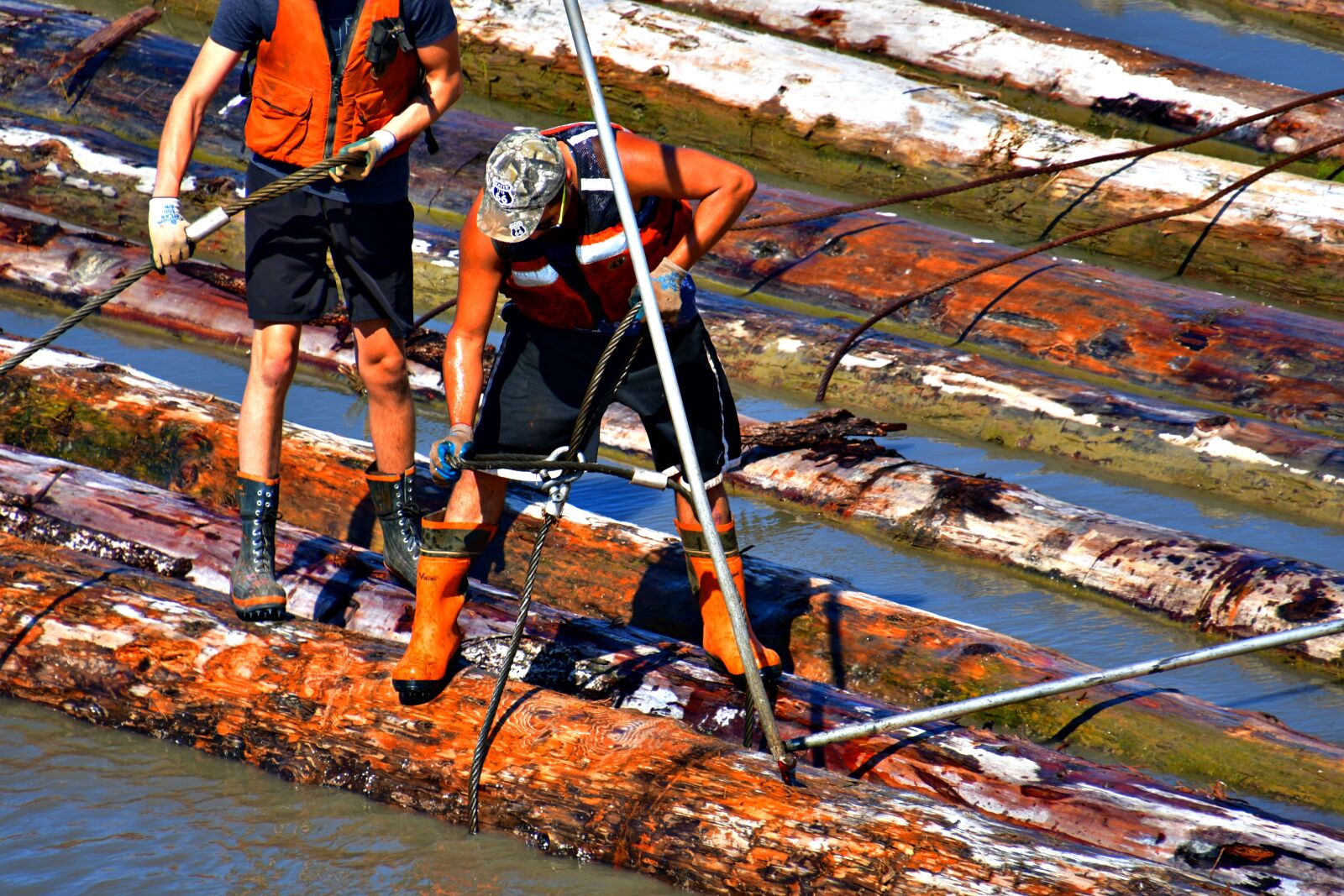 Nikon D7500 sample photo. Logs worker, securing logs photography