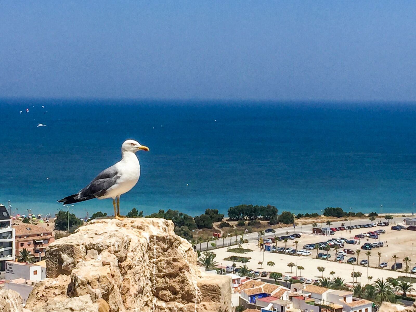 iPhone 6 Plus back camera 4.15mm f/2.2 sample photo. Denia, spain, mediterranean photography