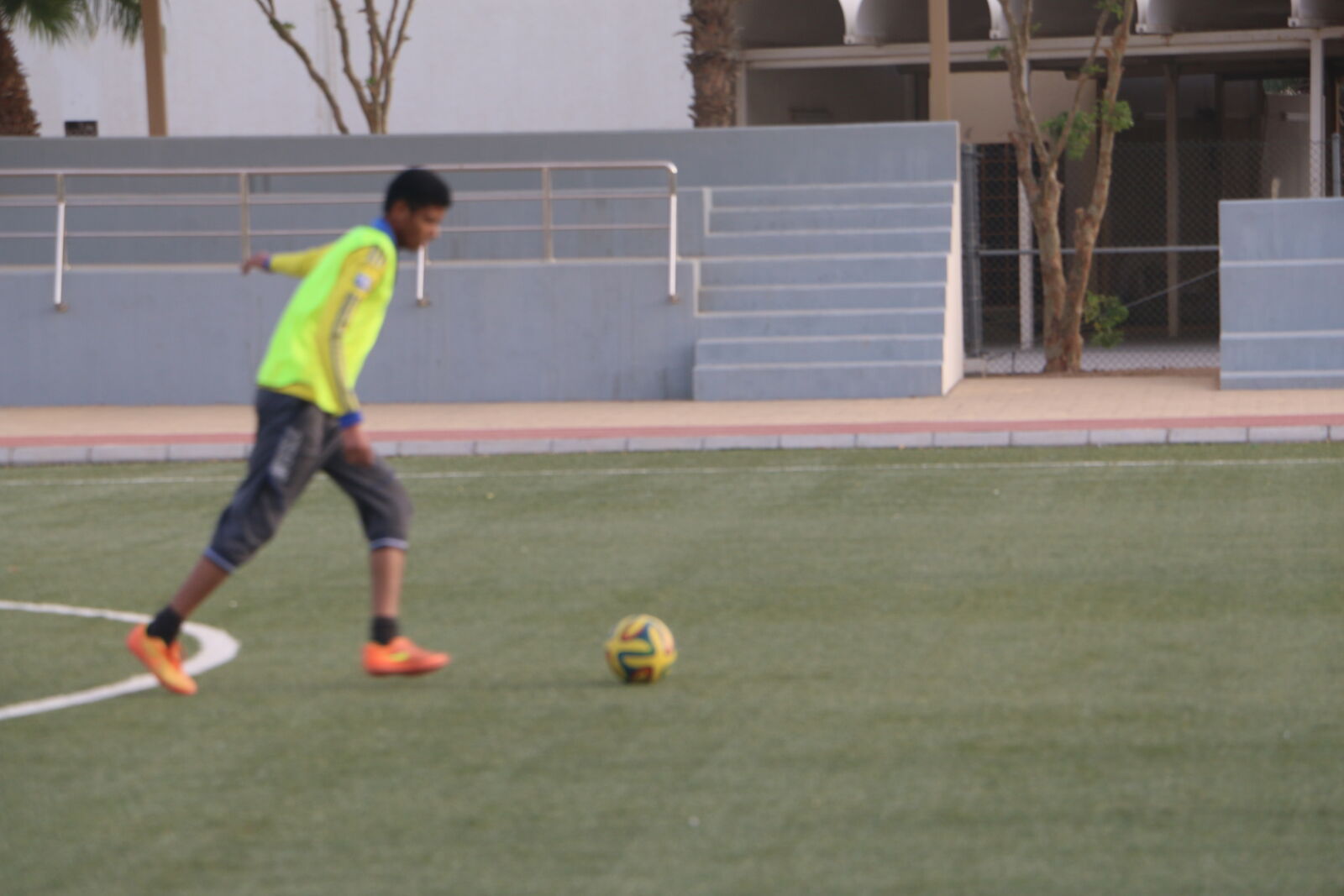 Canon EOS 70D sample photo