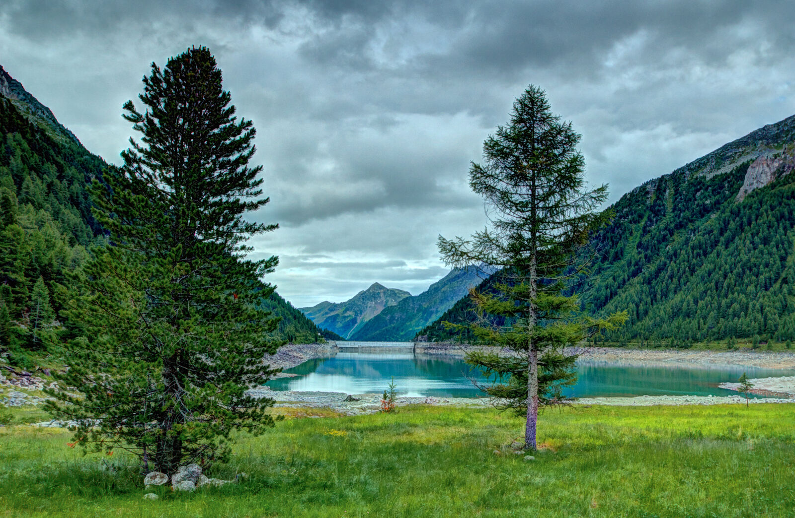 Canon EOS 70D sample photo. Beautiful, clouds, cloudy, conifers photography