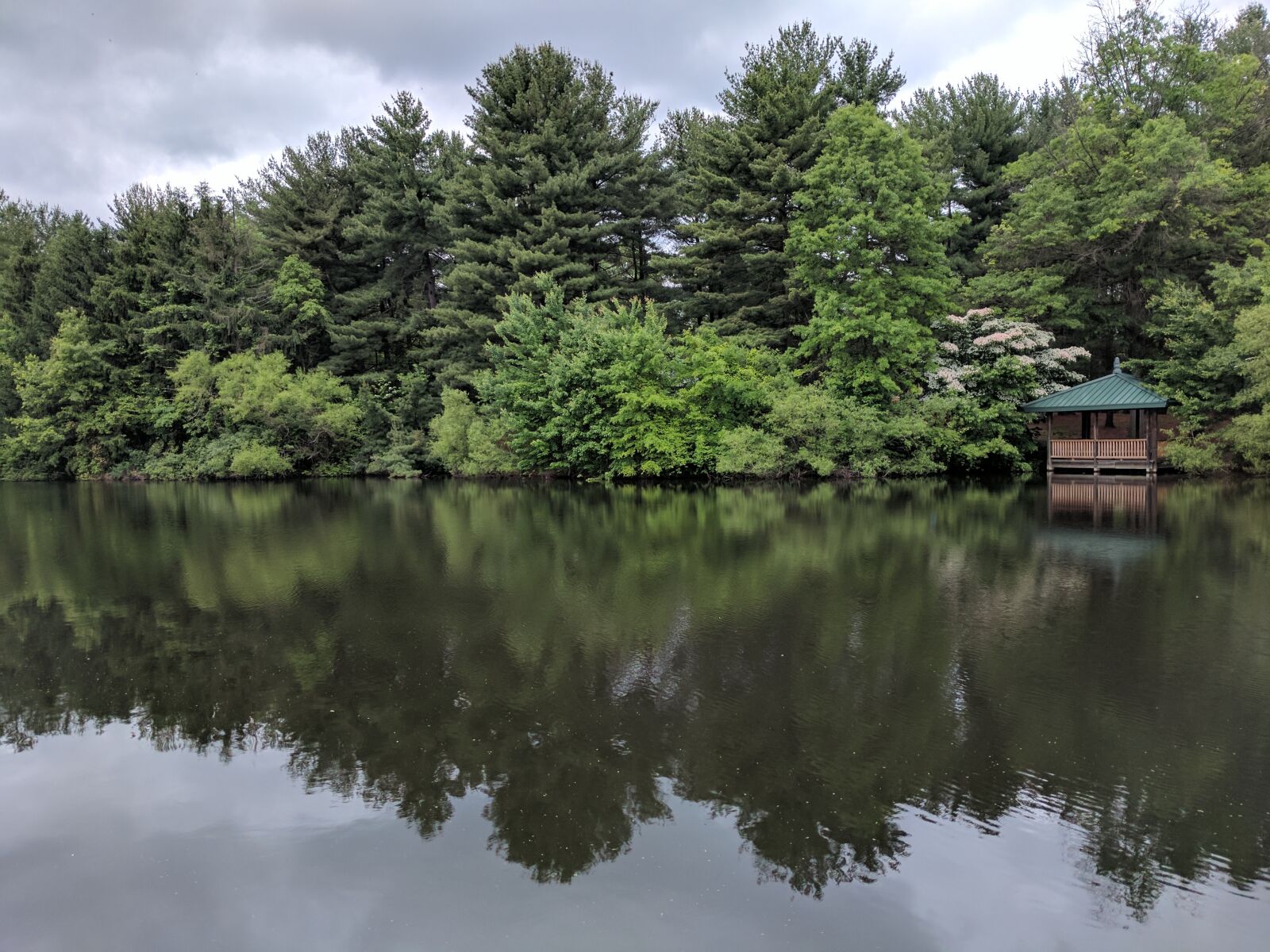 Google Pixel sample photo. Pond, trees, outdoors photography