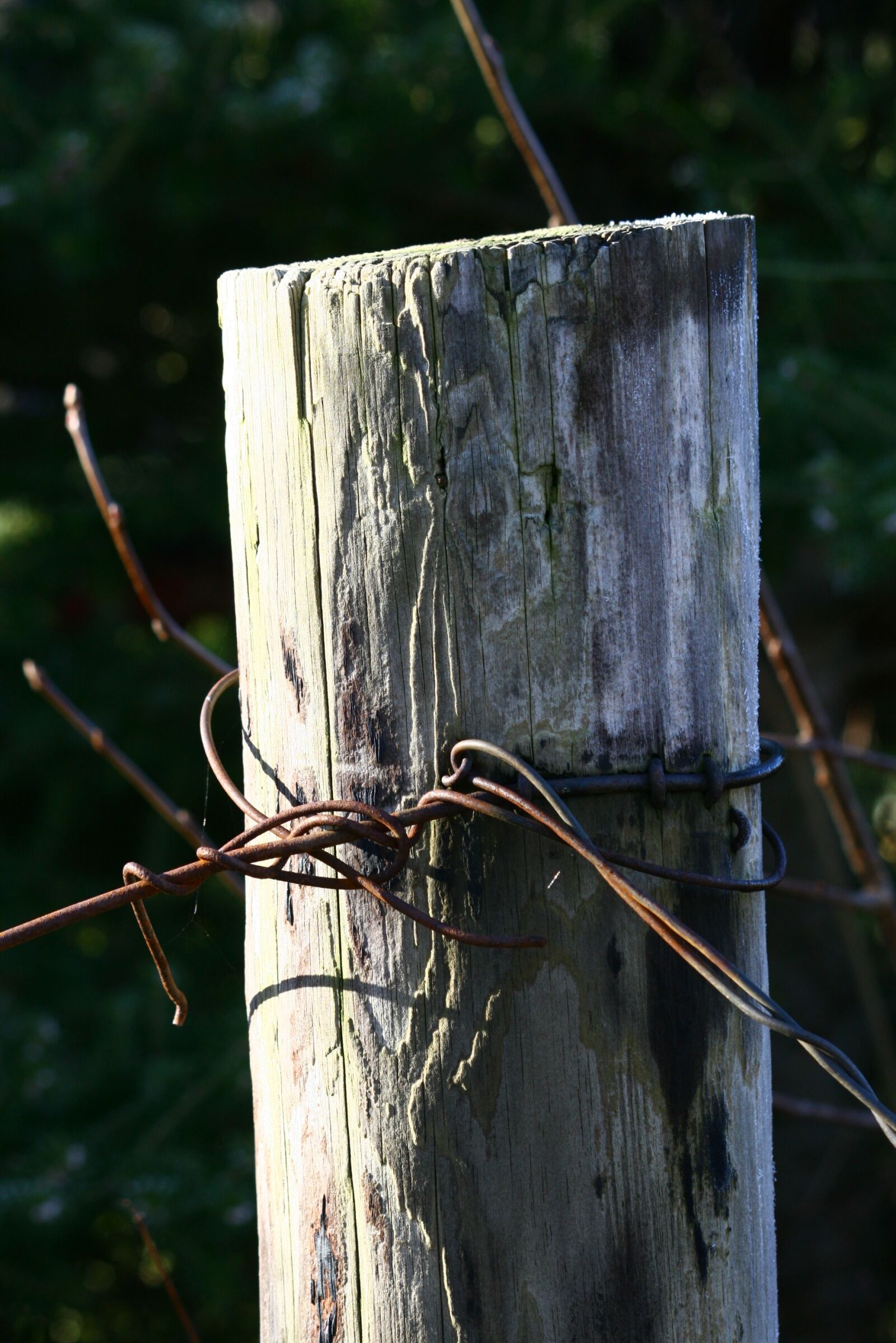 Canon EOS 400D (EOS Digital Rebel XTi / EOS Kiss Digital X) sample photo. Pole, wood, wire photography