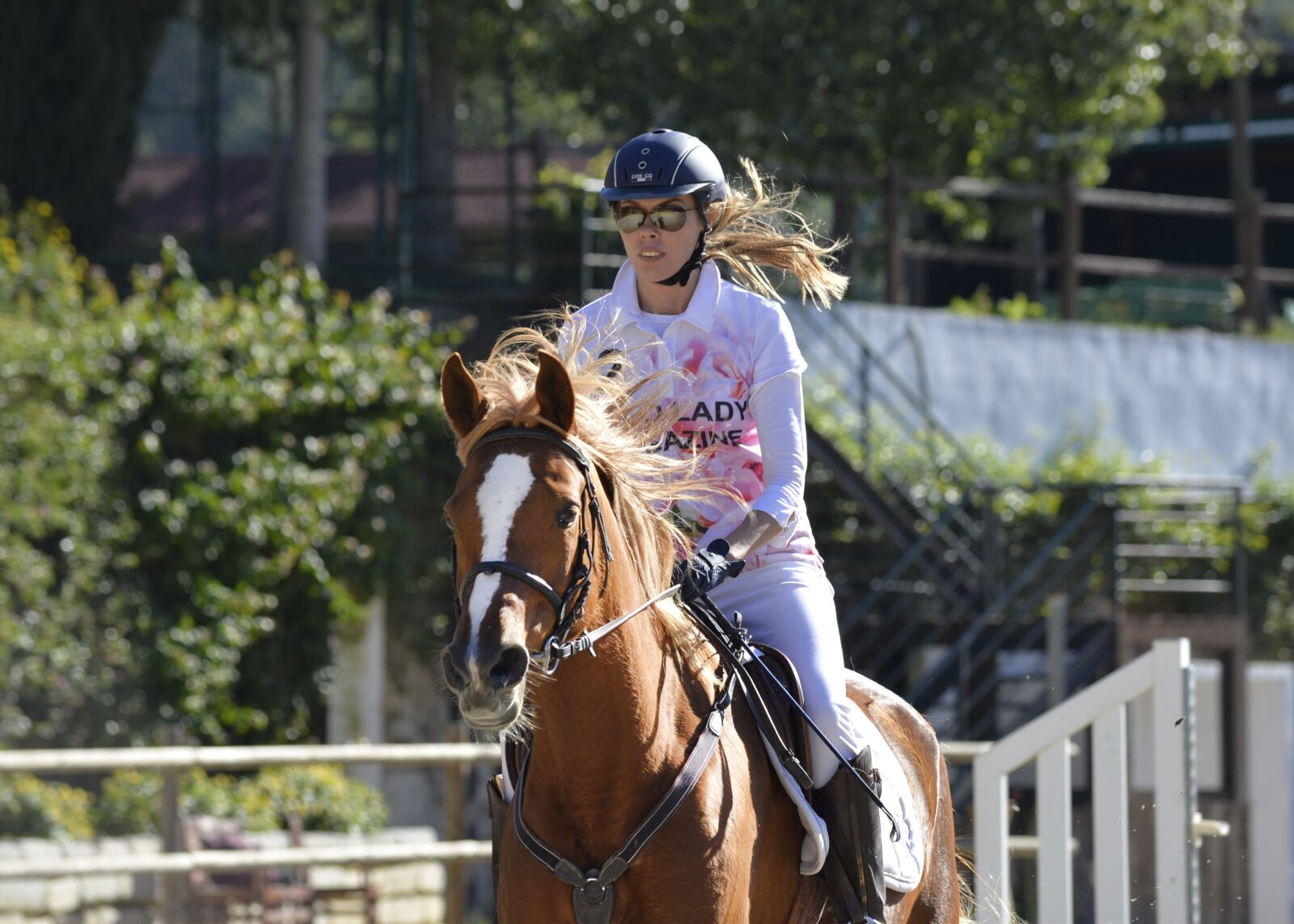Nikon D610 sample photo. Horse, sport, competition photography