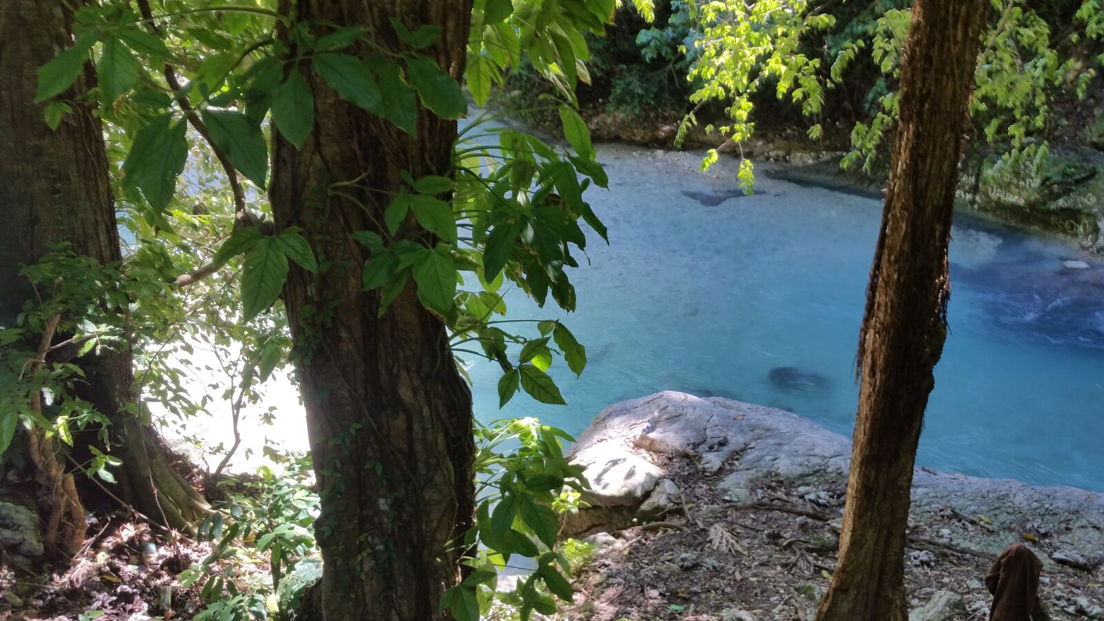 Samsung Galaxy Note4 sample photo. River, trees, water photography