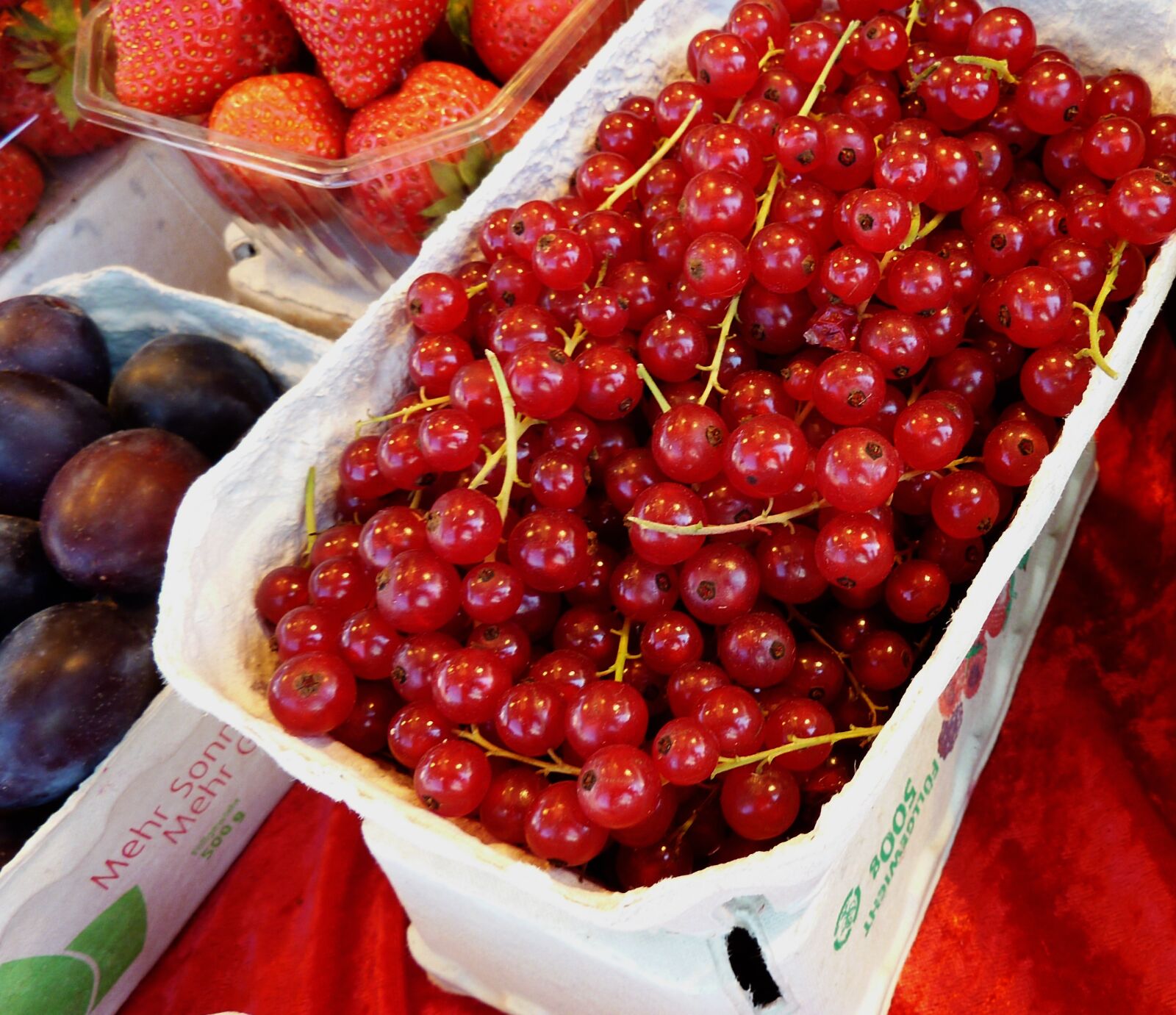 Panasonic DMC-TZ7 sample photo. Currants, berries, red currant photography