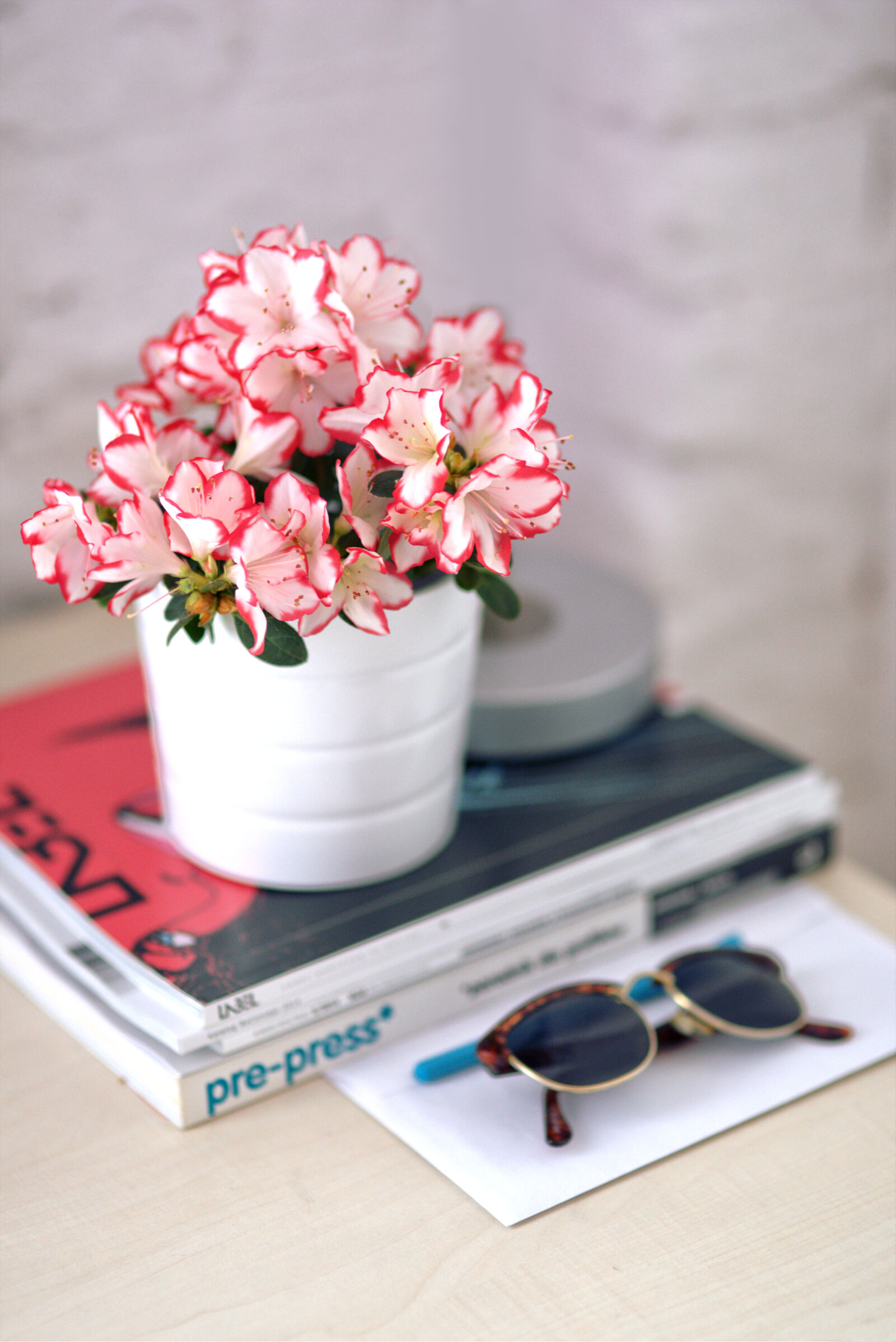 Canon EOS 6D sample photo. Azalea, in, a, white photography