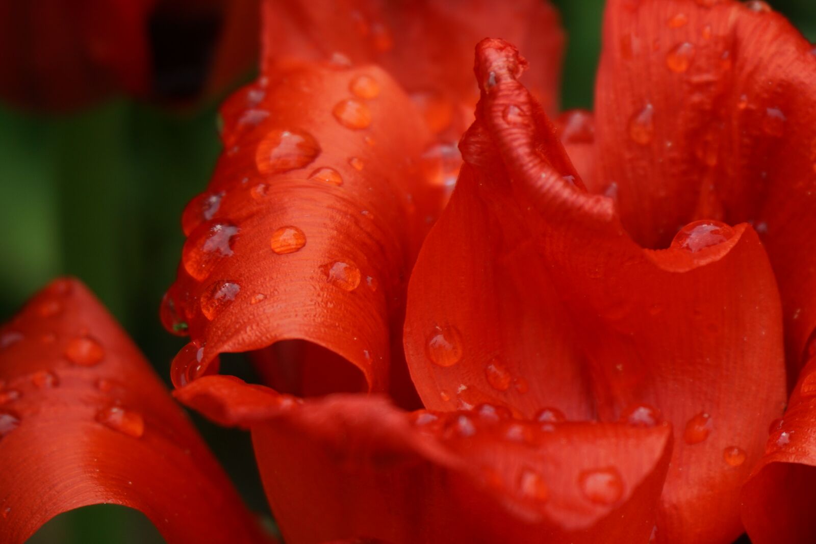 Sony a6000 sample photo. Cpxrkstvbagjhj, uxcvhstbrajhkdjlk, ucvxtbsjhhadkjk photography