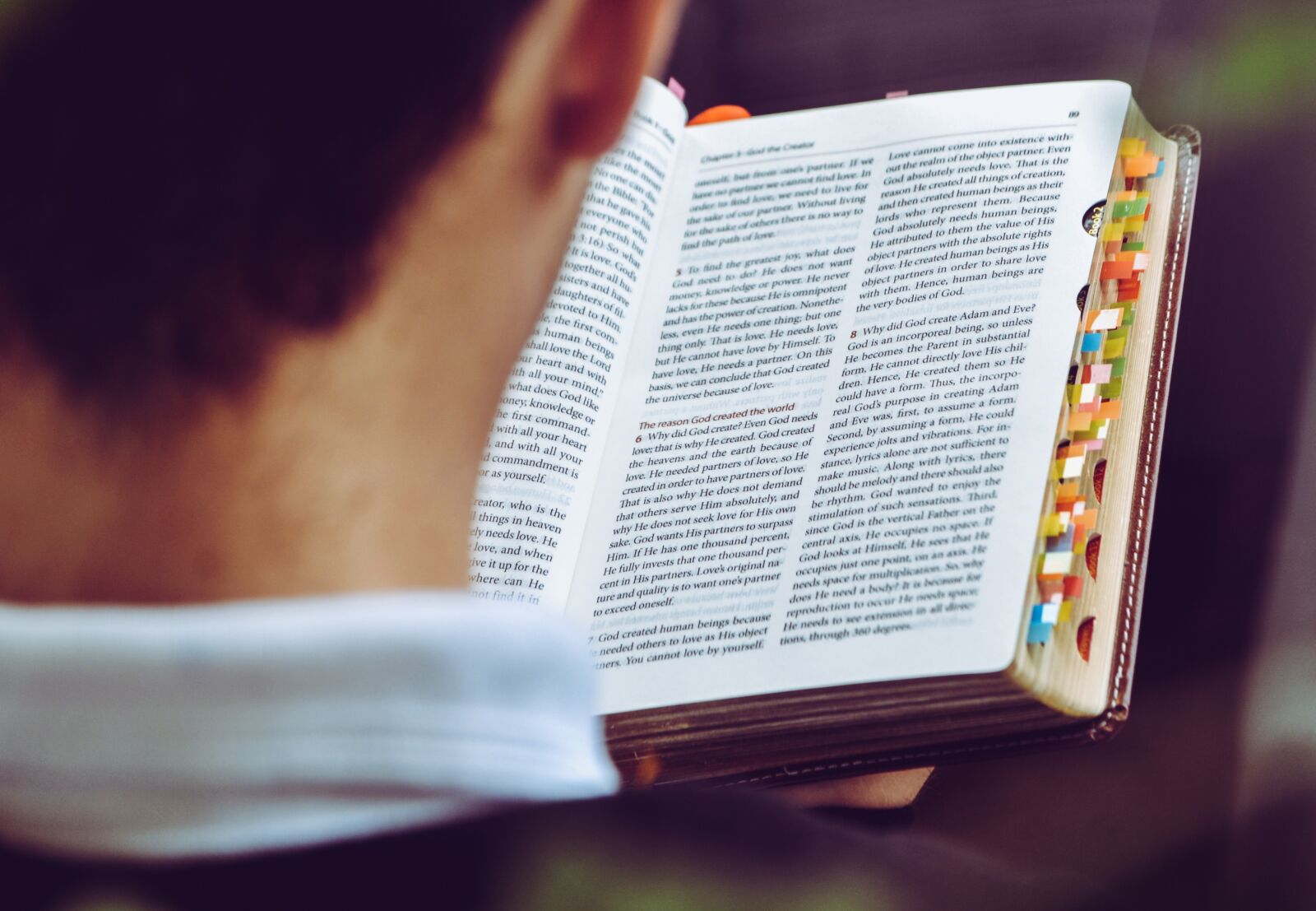Nikon D610 sample photo. Book, read, text photography
