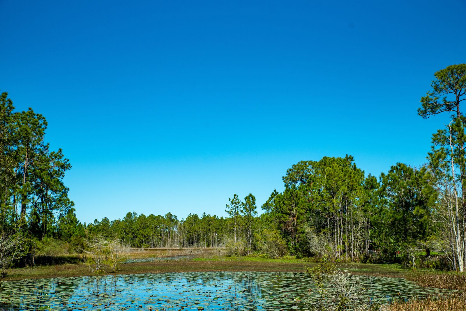 Tamron SP 24-70mm F2.8 Di VC USD sample photo. Pond, scenic, lake photography