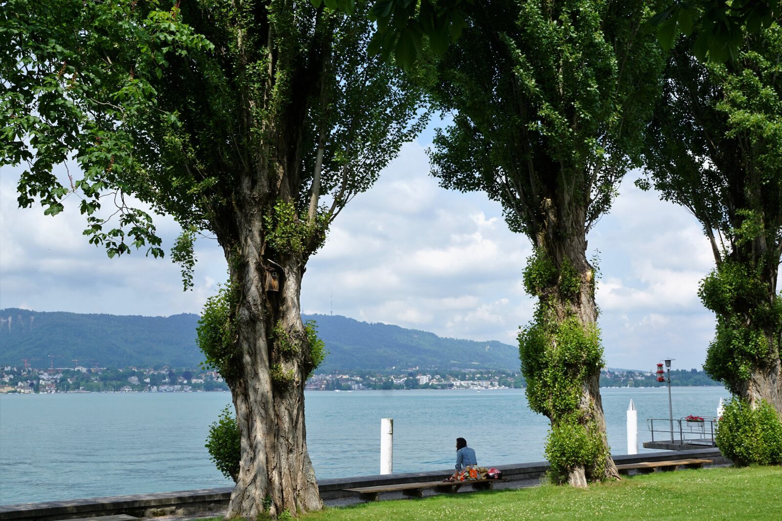 Sony ILCA-77M2 + Sony DT 16-50mm F2.8 SSM sample photo. Zollikon, landscape, nature photography