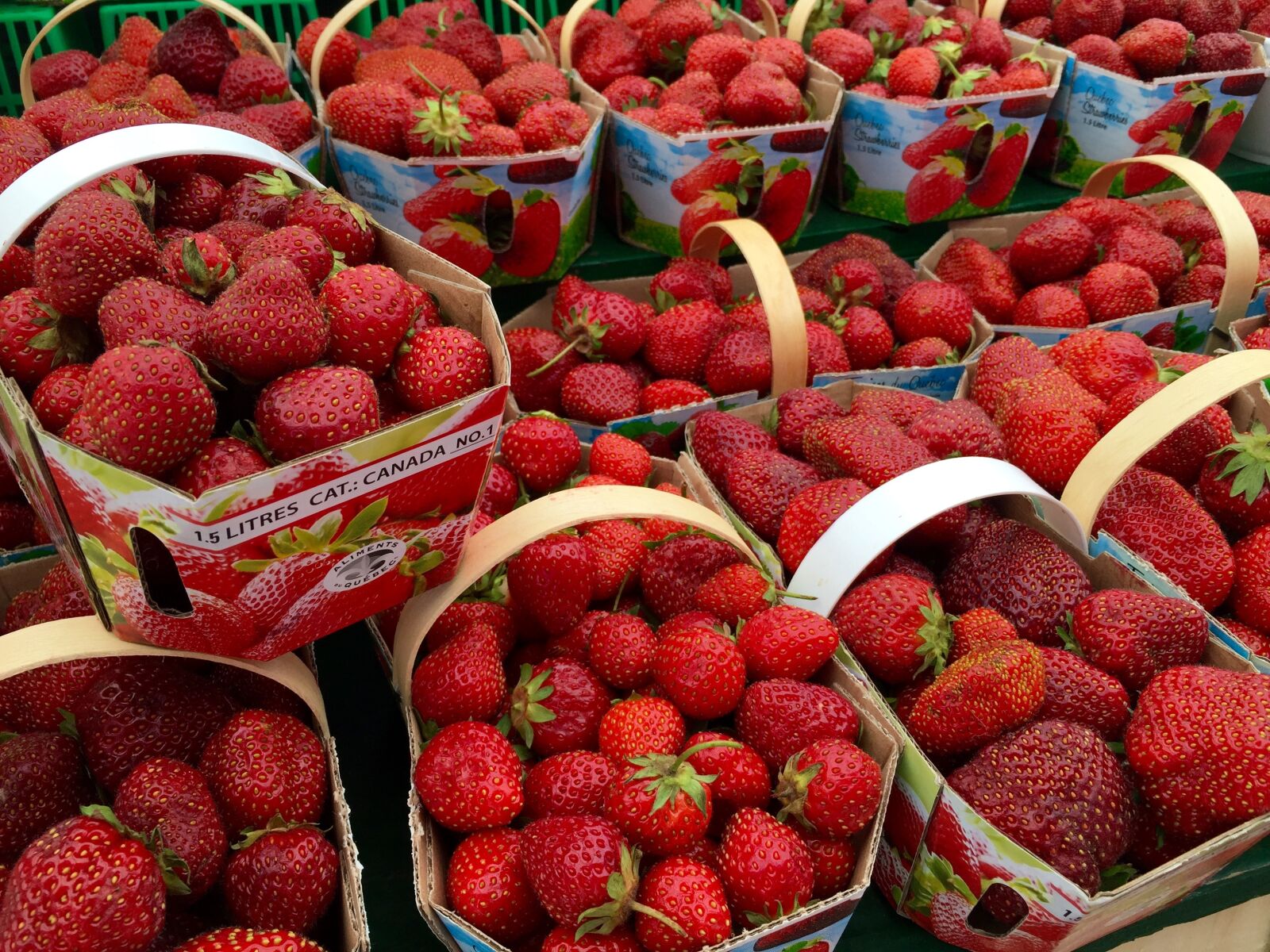 Apple iPhone 6 sample photo. Strawberries, fruit, red photography