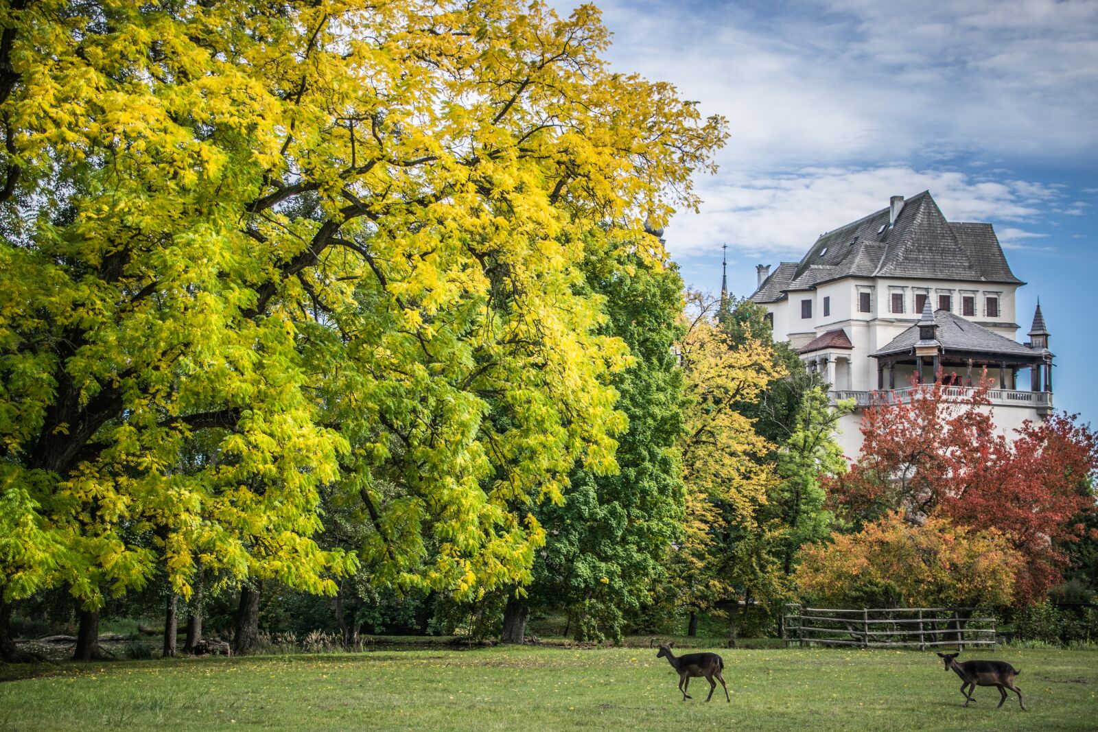 Nikon D5300 sample photo. Castle, park, architecture photography