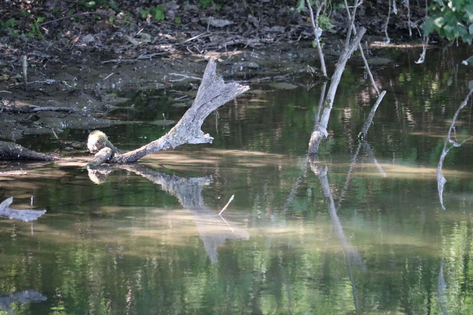 Canon EF-S 55-250mm F4-5.6 IS STM sample photo. Lake, water, nature photography