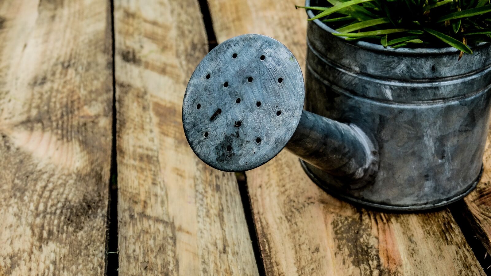 Sony Cyber-shot DSC-HX300 sample photo. Watering can, garden, box photography