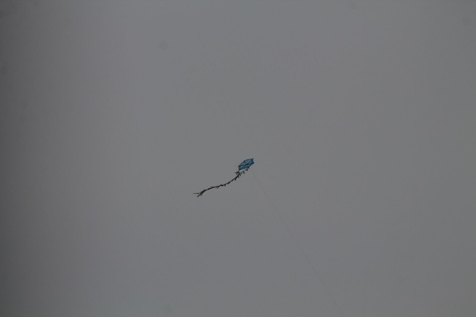 Canon EF75-300mm f/4-5.6 sample photo. Kite, kargili, spring photography