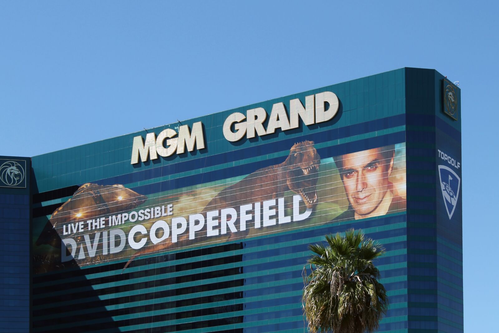 Canon EOS 1100D (EOS Rebel T3 / EOS Kiss X50) sample photo. Las vegas, mgm grand photography