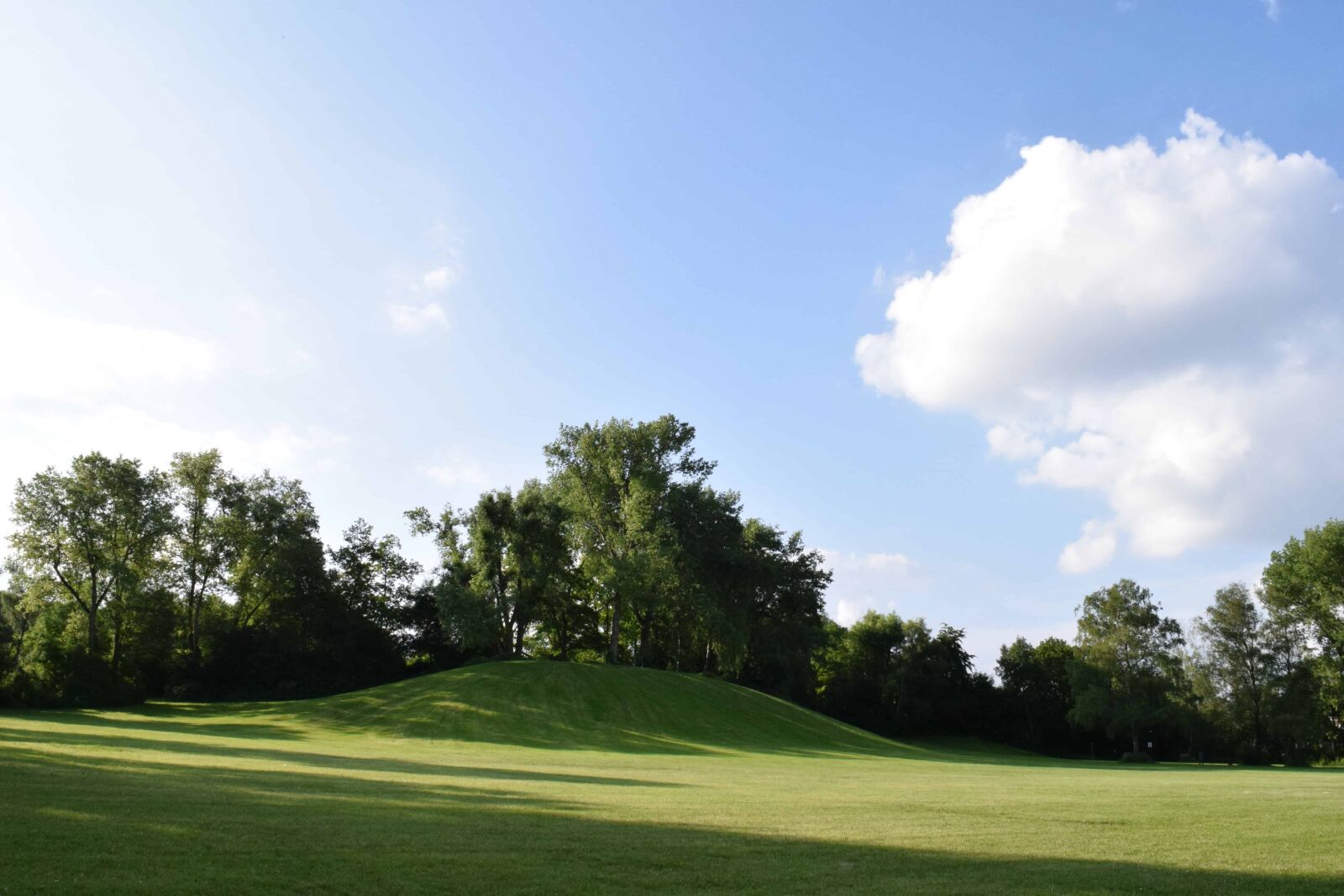 Nikon D3300 sample photo. Tree, grass, landscape, nature photography