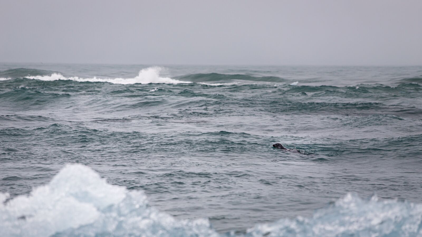 Canon EF 70-200mm F2.8L USM sample photo. Robbe, ice floes, iceland photography