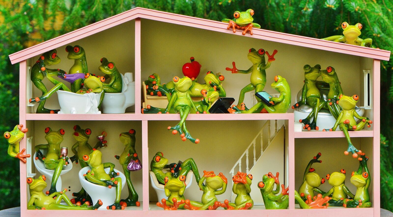 Nikon D3200 sample photo. Frogs, funny, house photography