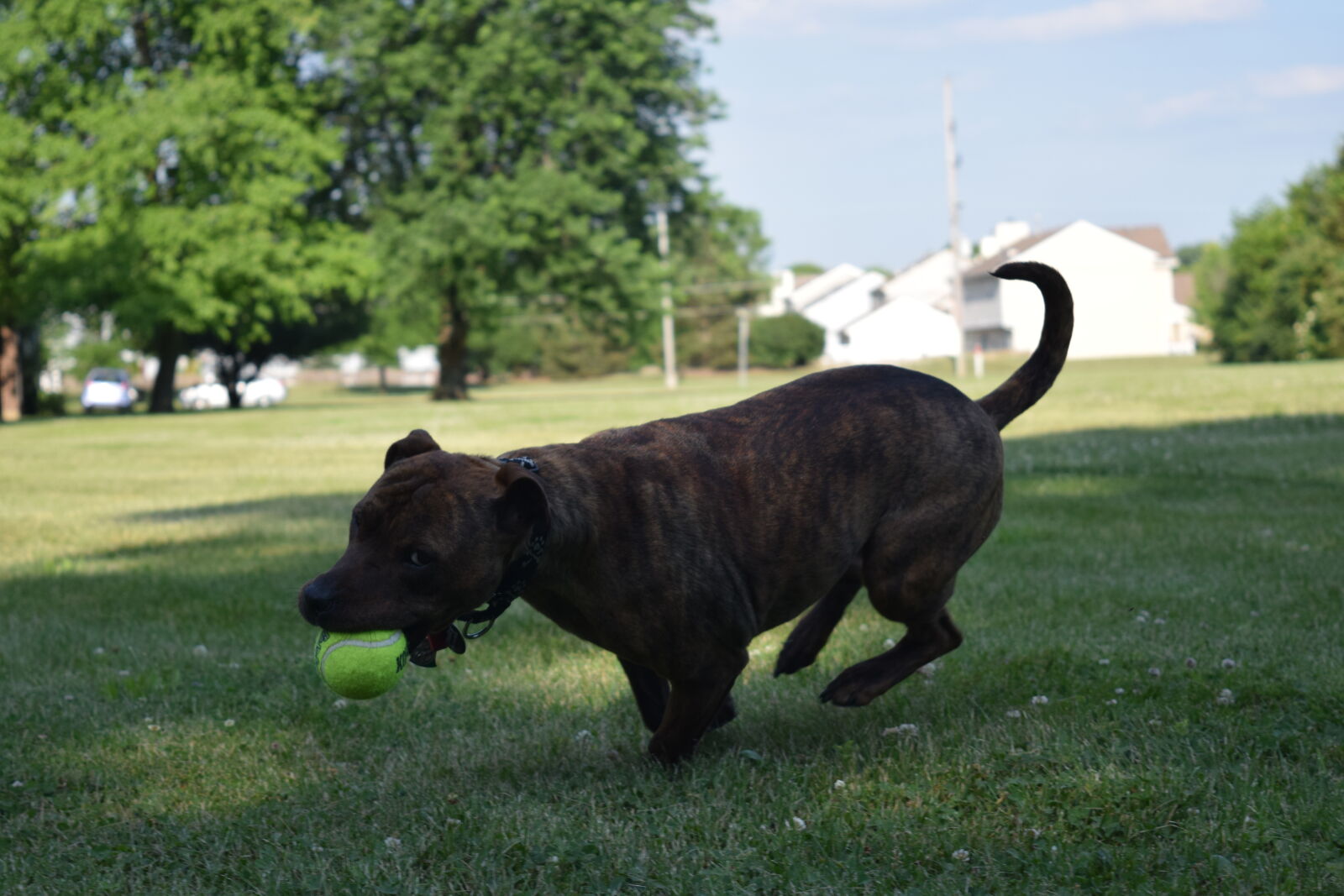 Nikon D3300 sample photo