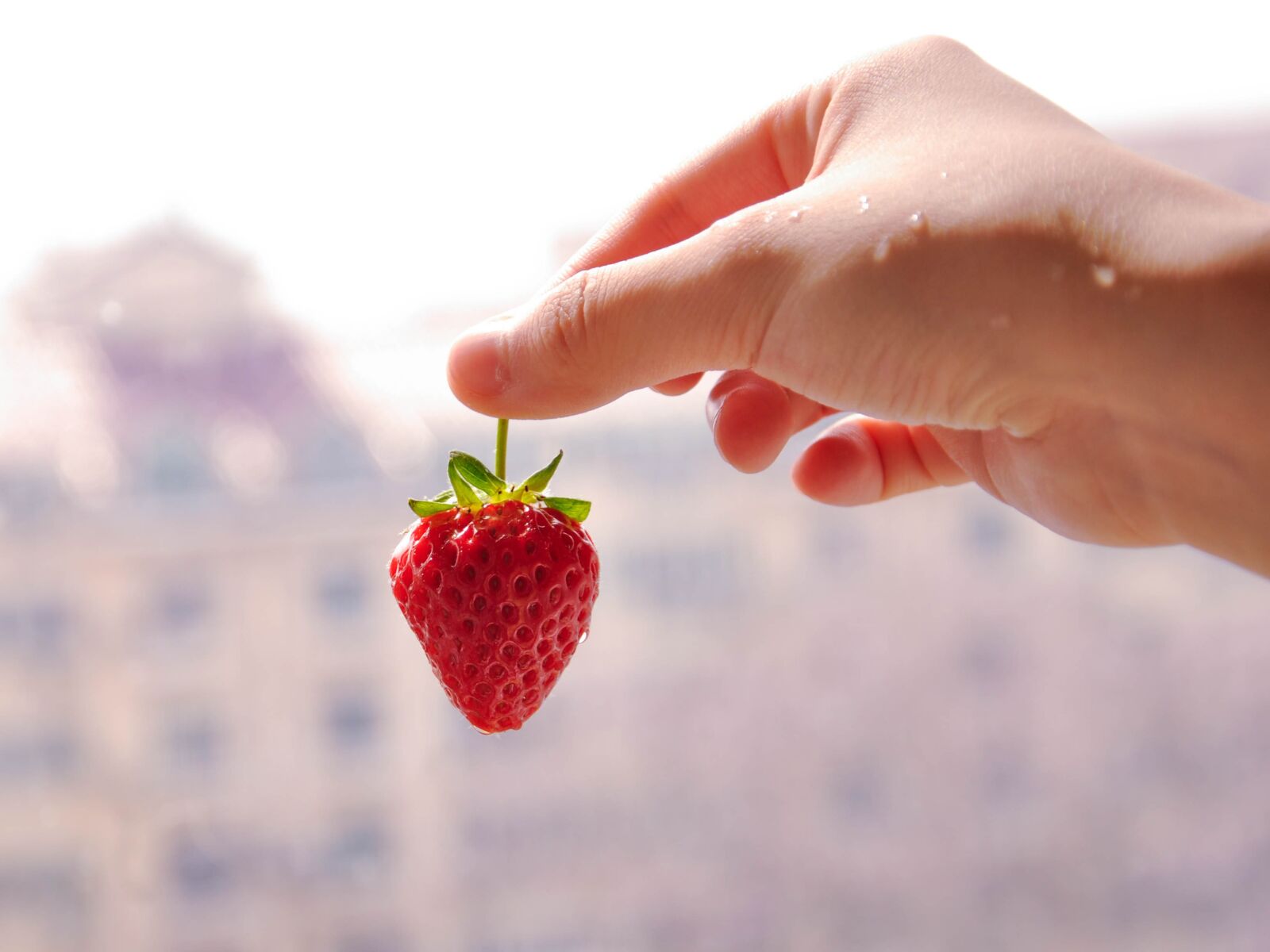 Nikon D90 sample photo. Strawberry, hand, fruit photography
