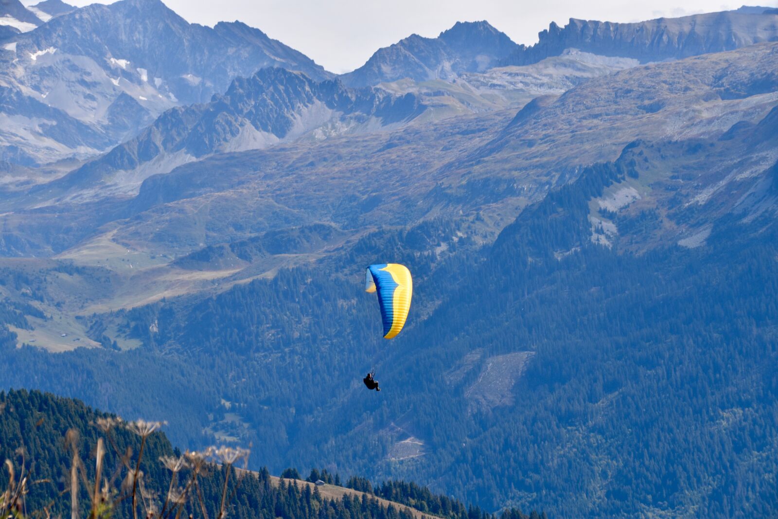 Nikon D5600 sample photo. Paragliding, paraglider, site la photography
