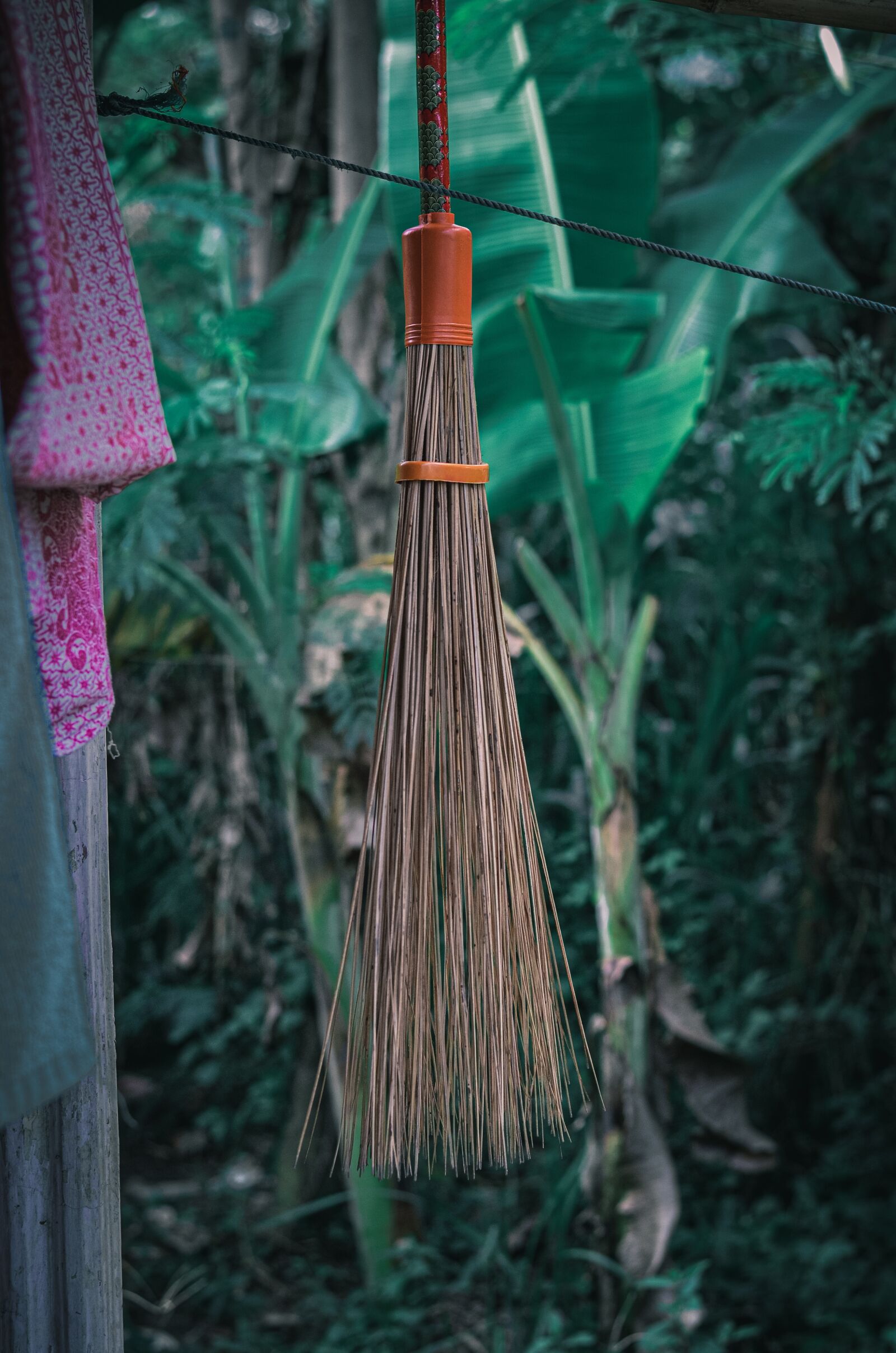 Nikon D5100 sample photo. Forest, green, view photography