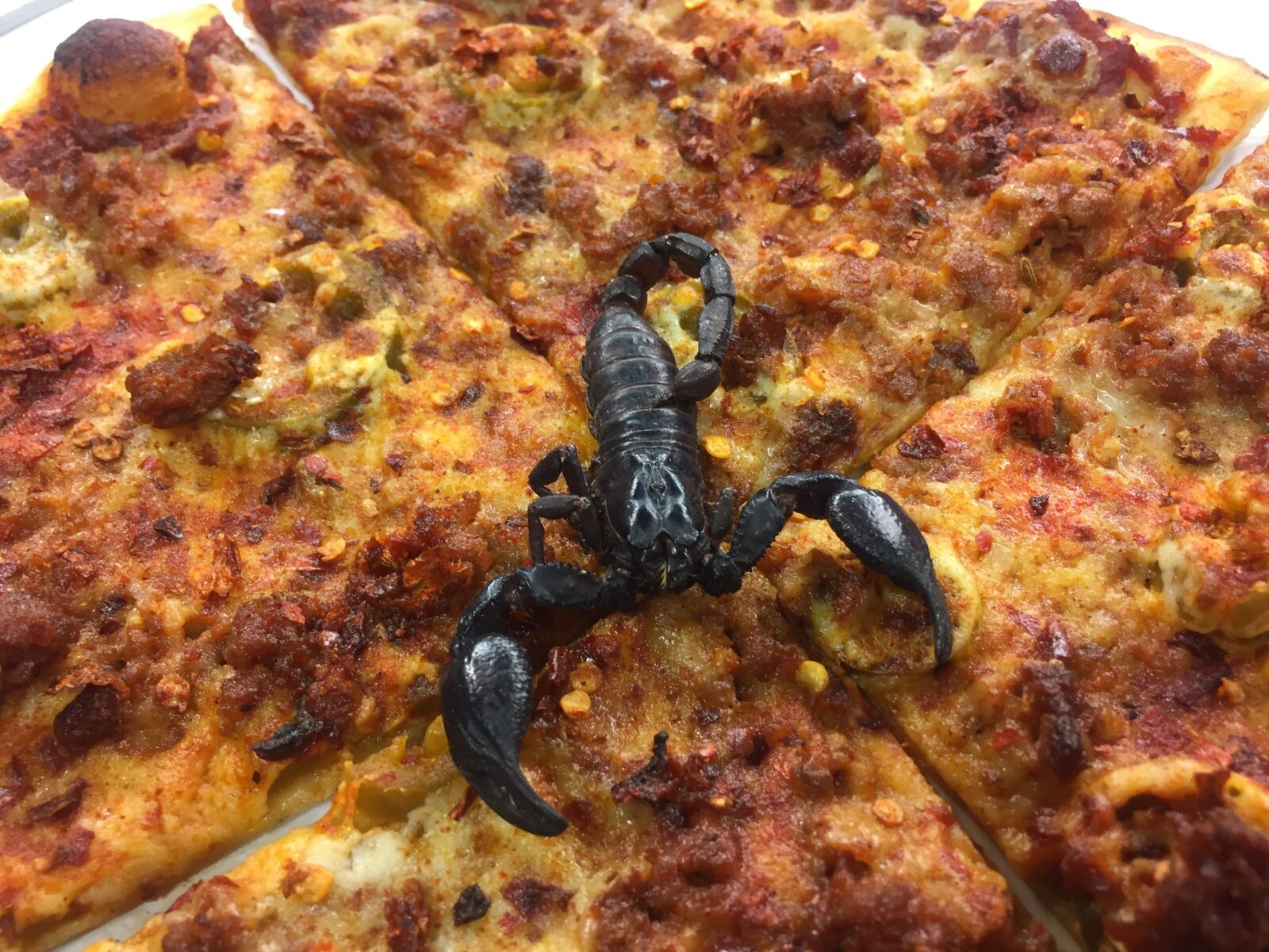 Apple iPhone 6 sample photo. Scorpion, pizza, hot photography