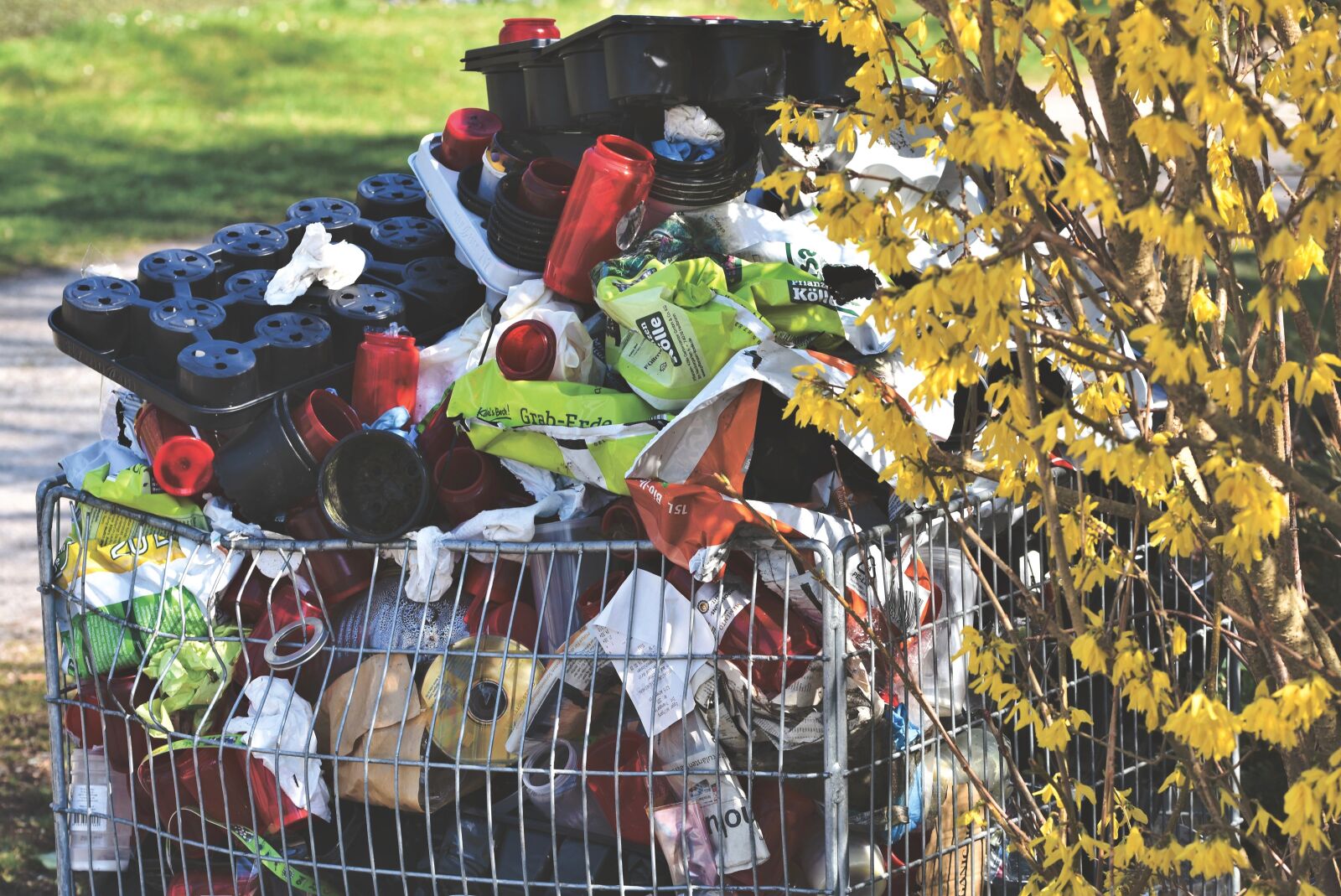 Nikon D7200 sample photo. Waste, garbage, waste container photography
