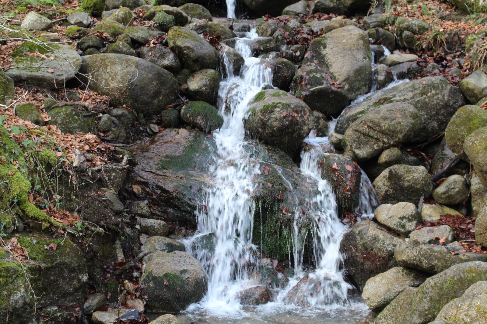 Canon EOS 700D (EOS Rebel T5i / EOS Kiss X7i) sample photo. Water, cascade, nature photography