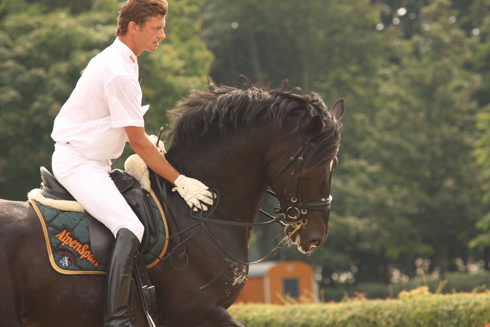 Canon EOS 40D sample photo. Horse, stallion, reiter photography
