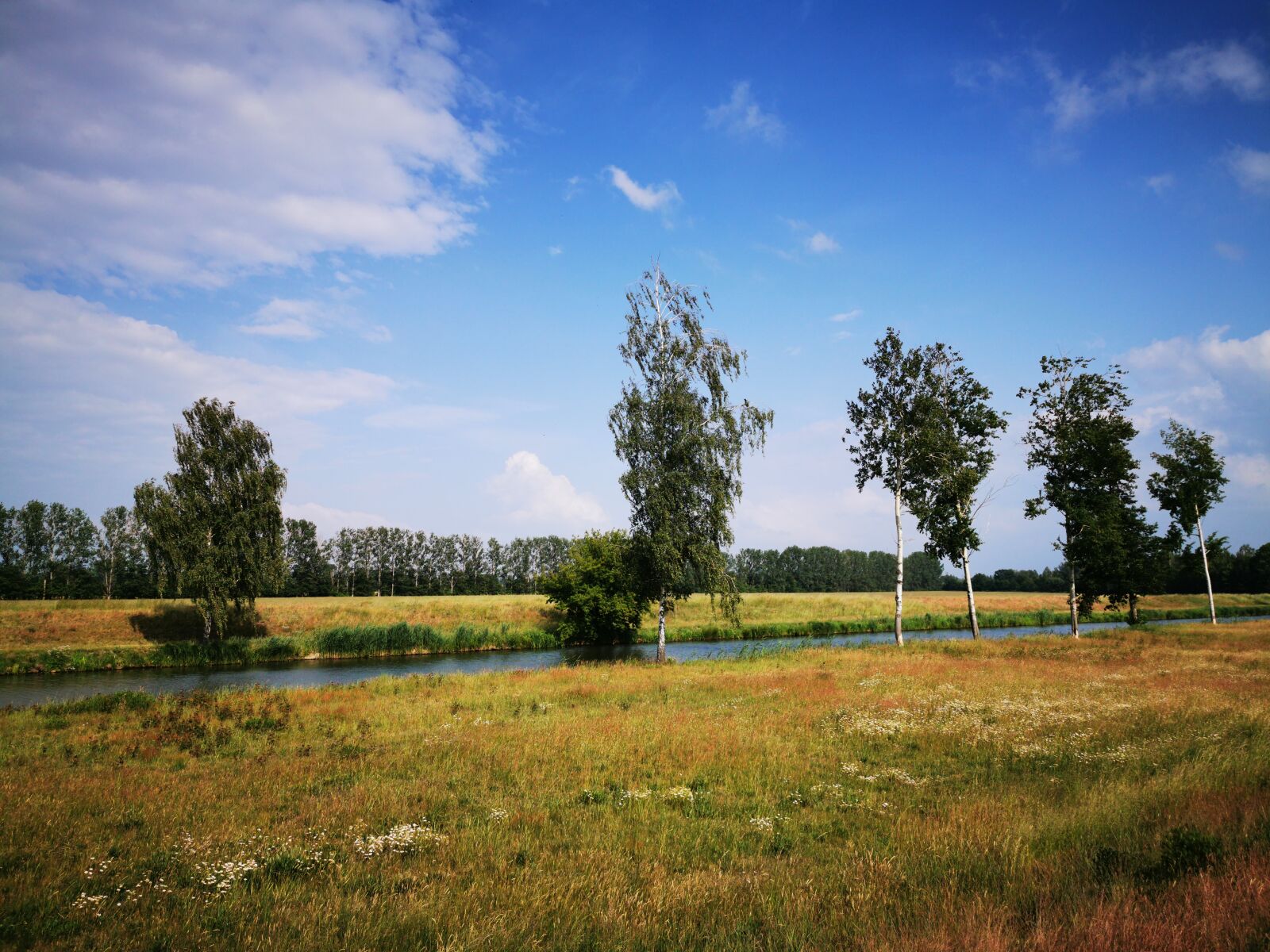 HUAWEI P30 Pro sample photo. Spreewald, north umfluter, spree photography