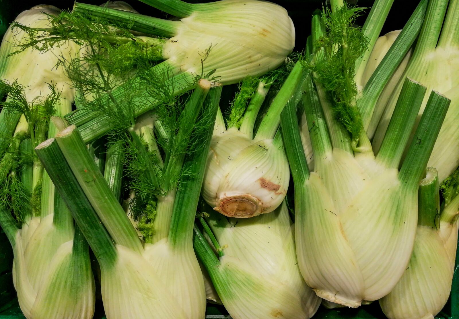 HUAWEI SNE-LX1 sample photo. Celery, root, tuber photography
