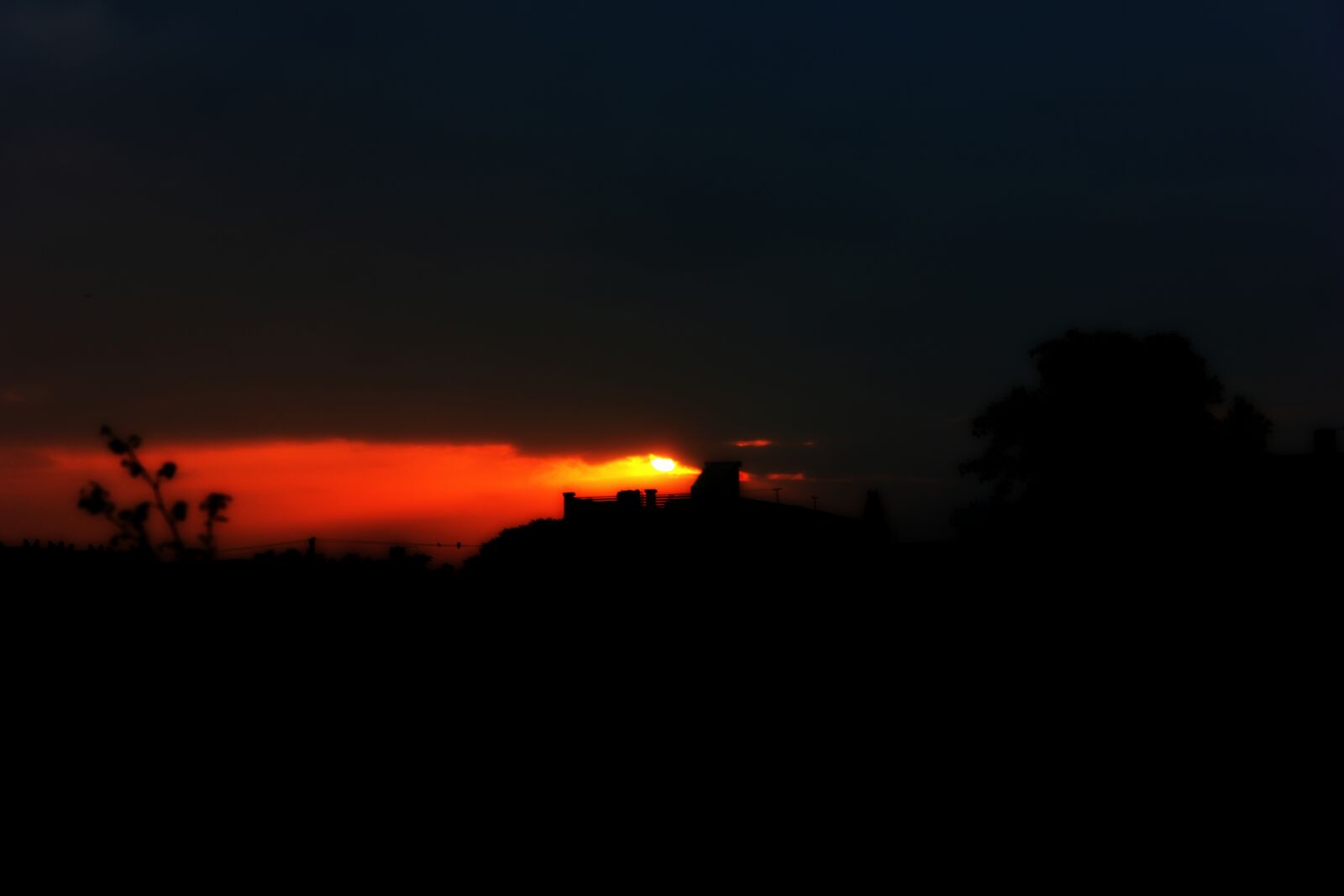 Canon EOS 600D (Rebel EOS T3i / EOS Kiss X5) sample photo. Nature, photography, stunning, morning photography
