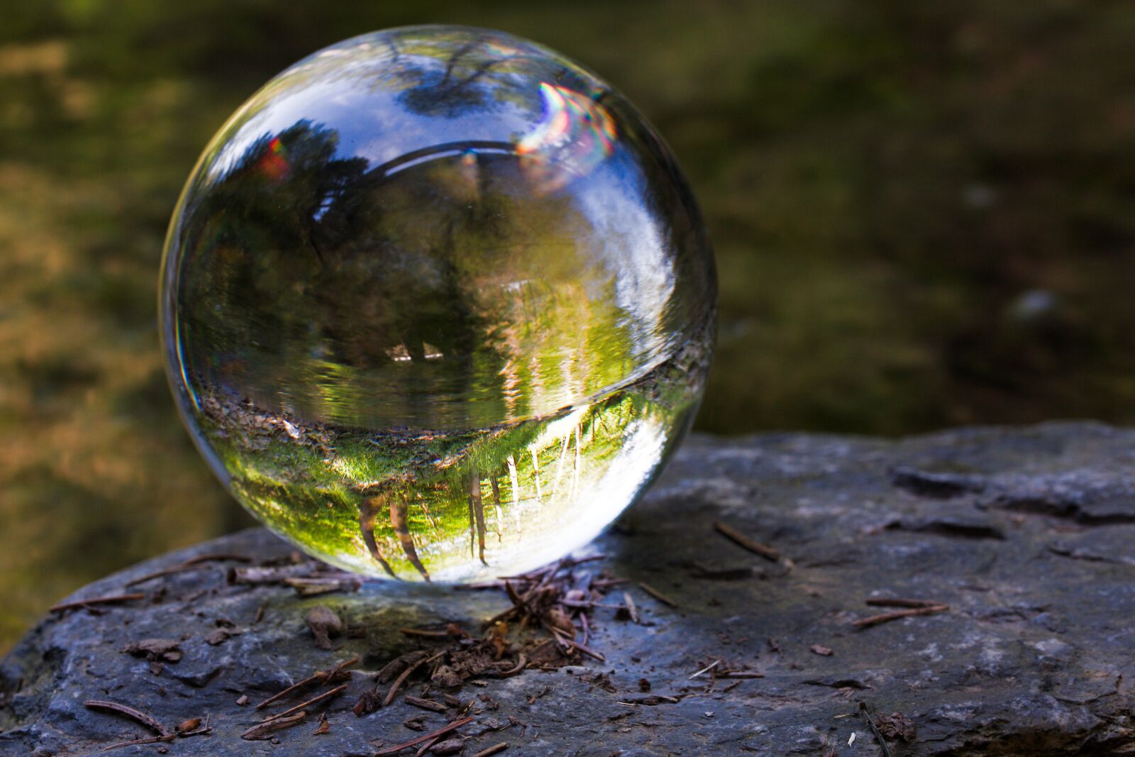 Canon EOS 6D sample photo. Nature, waters, reflection photography