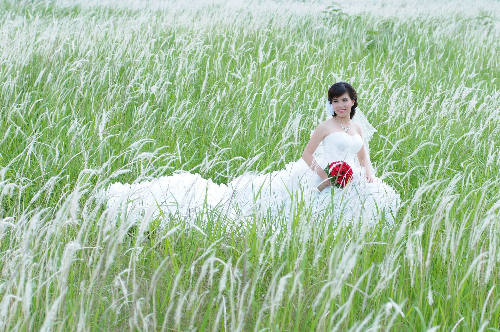 Nikon D300 sample photo. Wedding photo, beautiful wedding photography