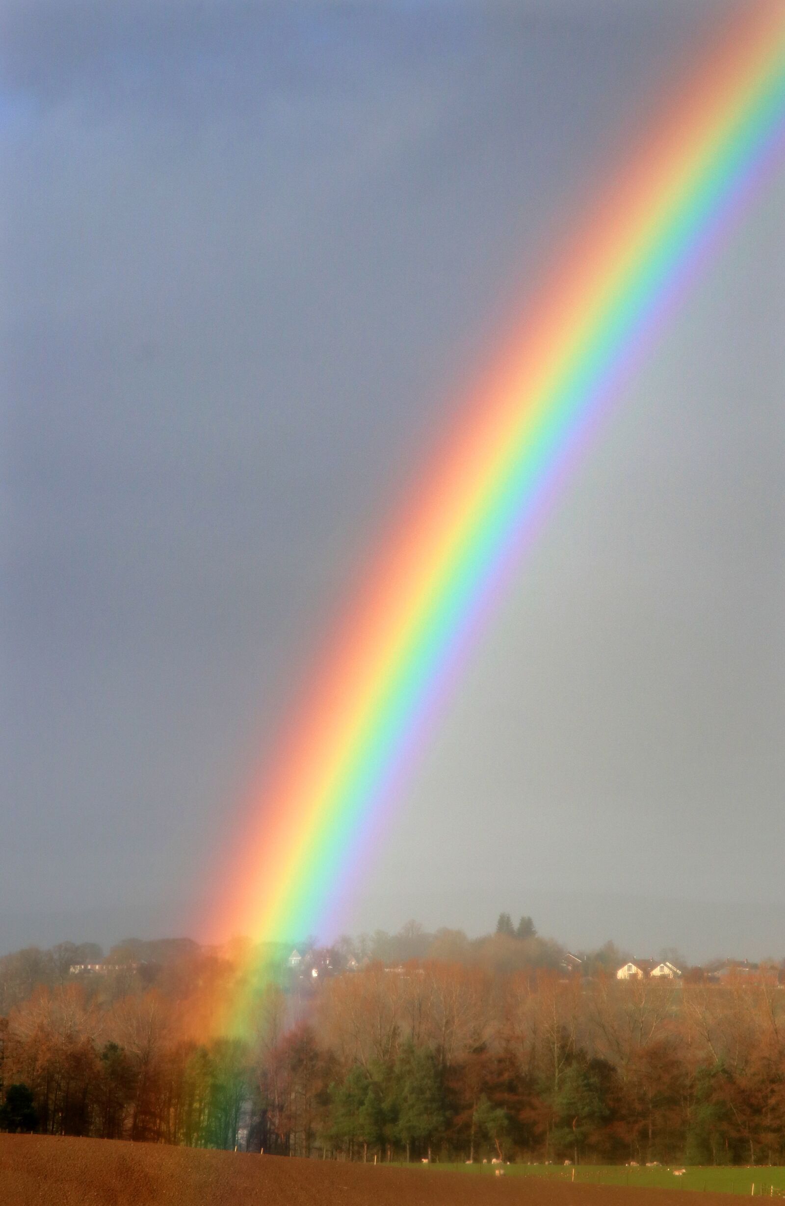 Canon EOS 80D sample photo. Rainbow, england, showers photography