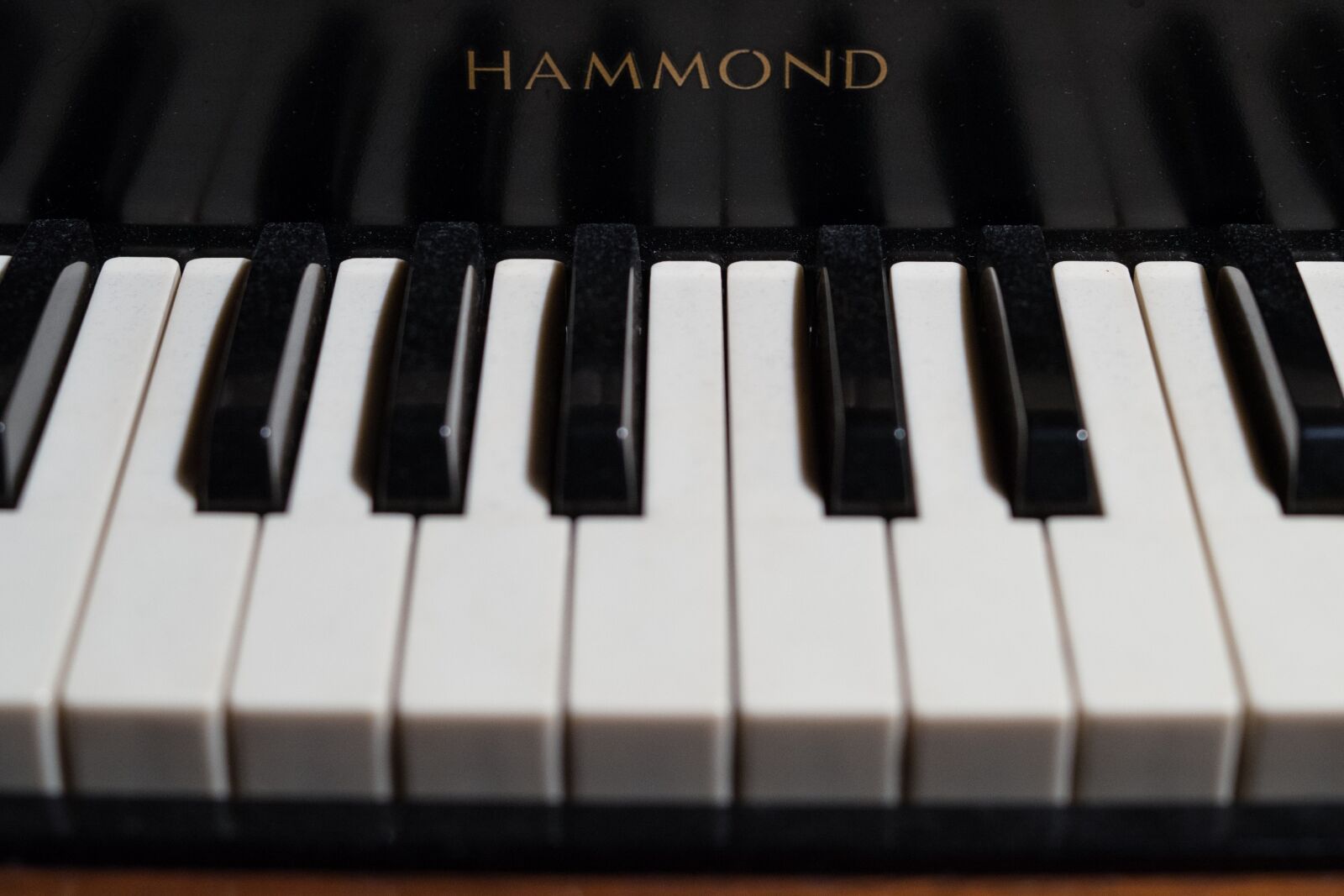 Sony a99 II sample photo. Keys, piano, organ photography