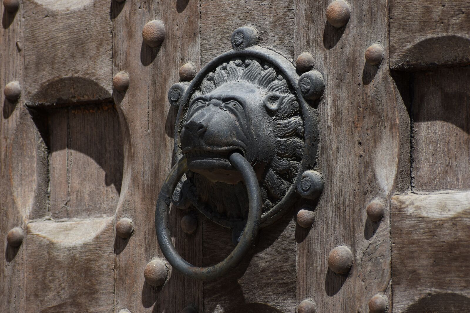 Nikon D3500 sample photo. Knocker, lion, church photography