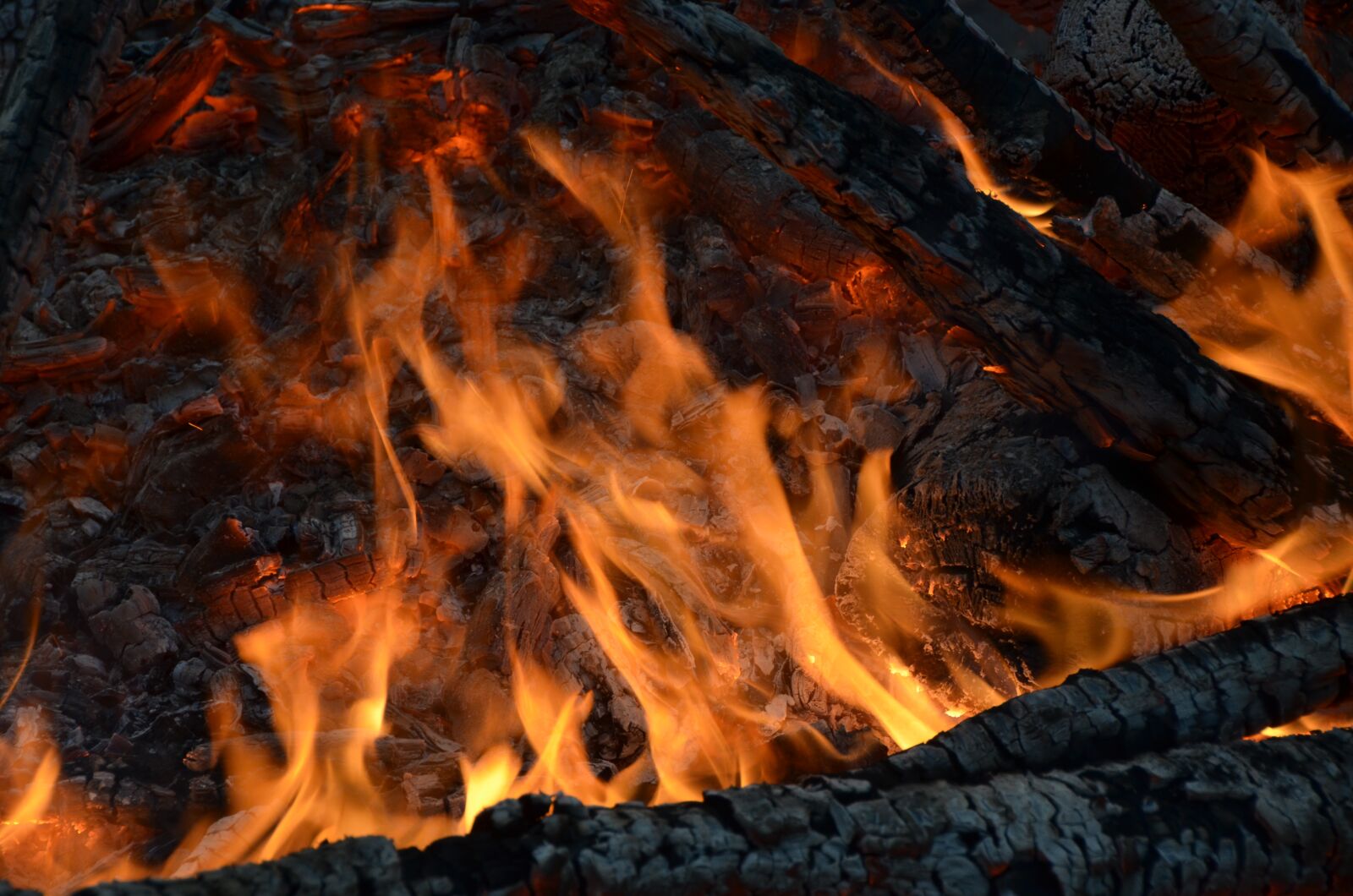 Nikon D5100 sample photo. Fire, burnt, charcoals photography
