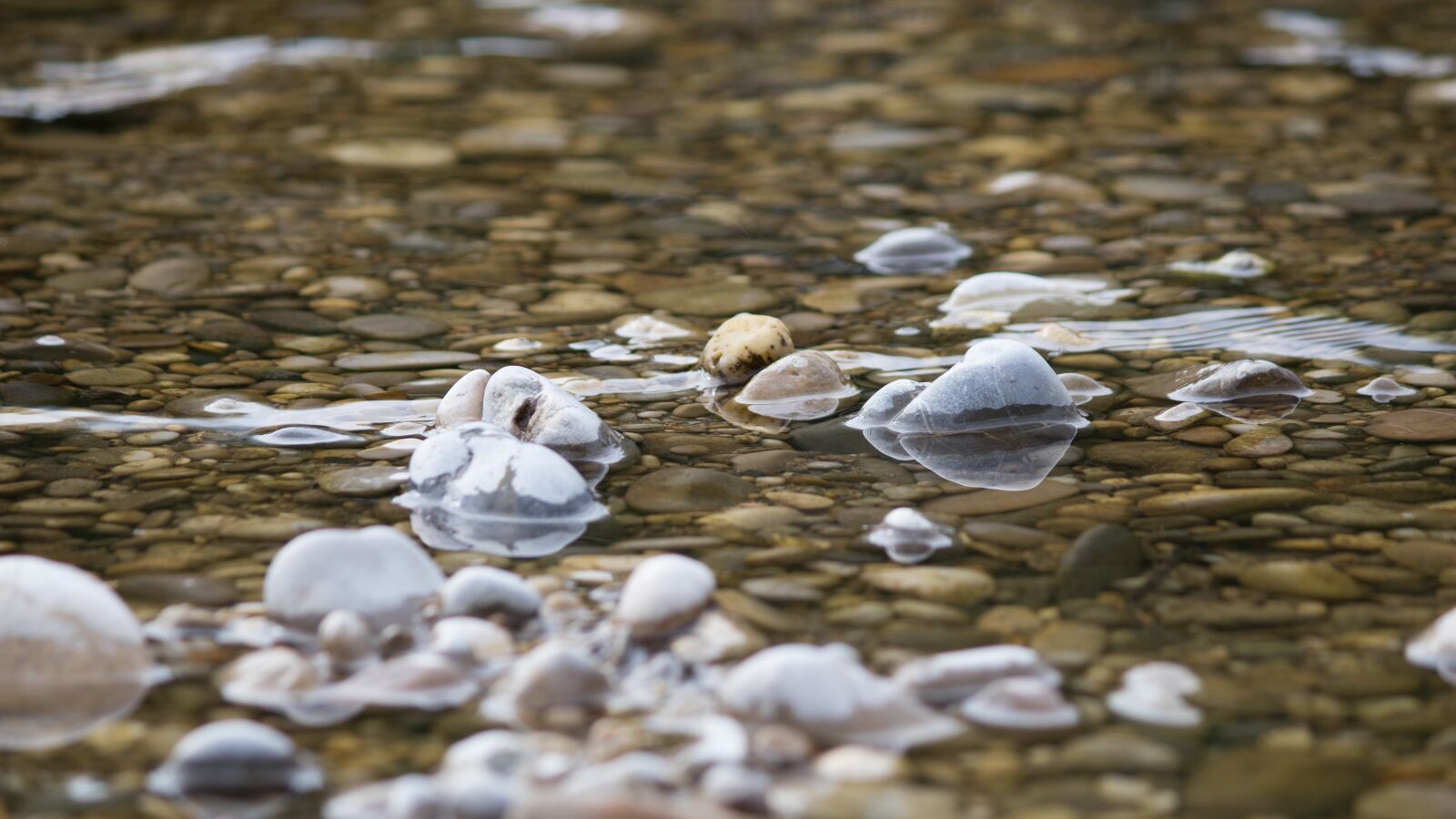 Canon EF-S 55-250mm F4-5.6 IS II sample photo. Isar, river, bavaria photography