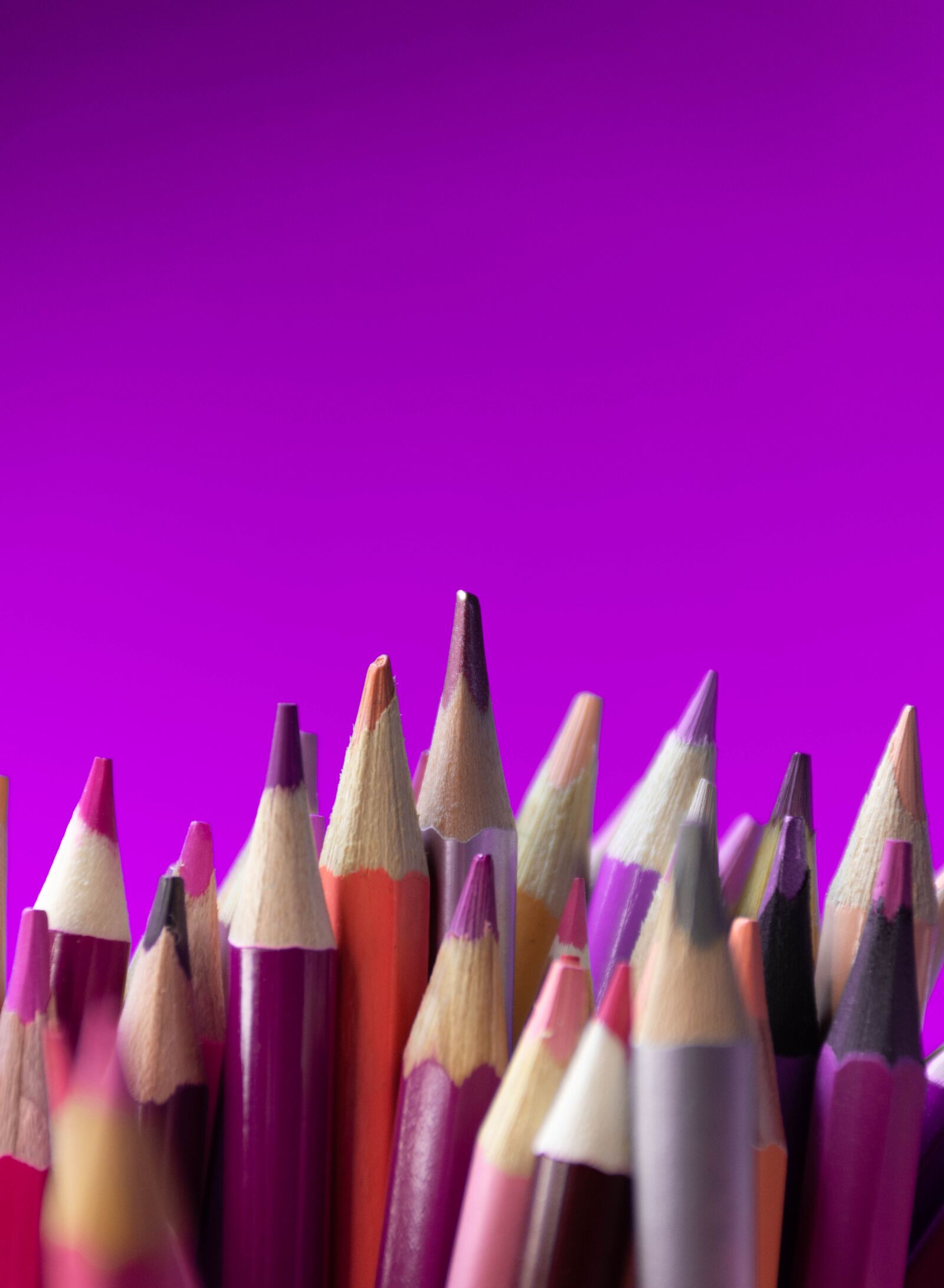 Nikon D7200 sample photo. Pencils, pink, purple photography