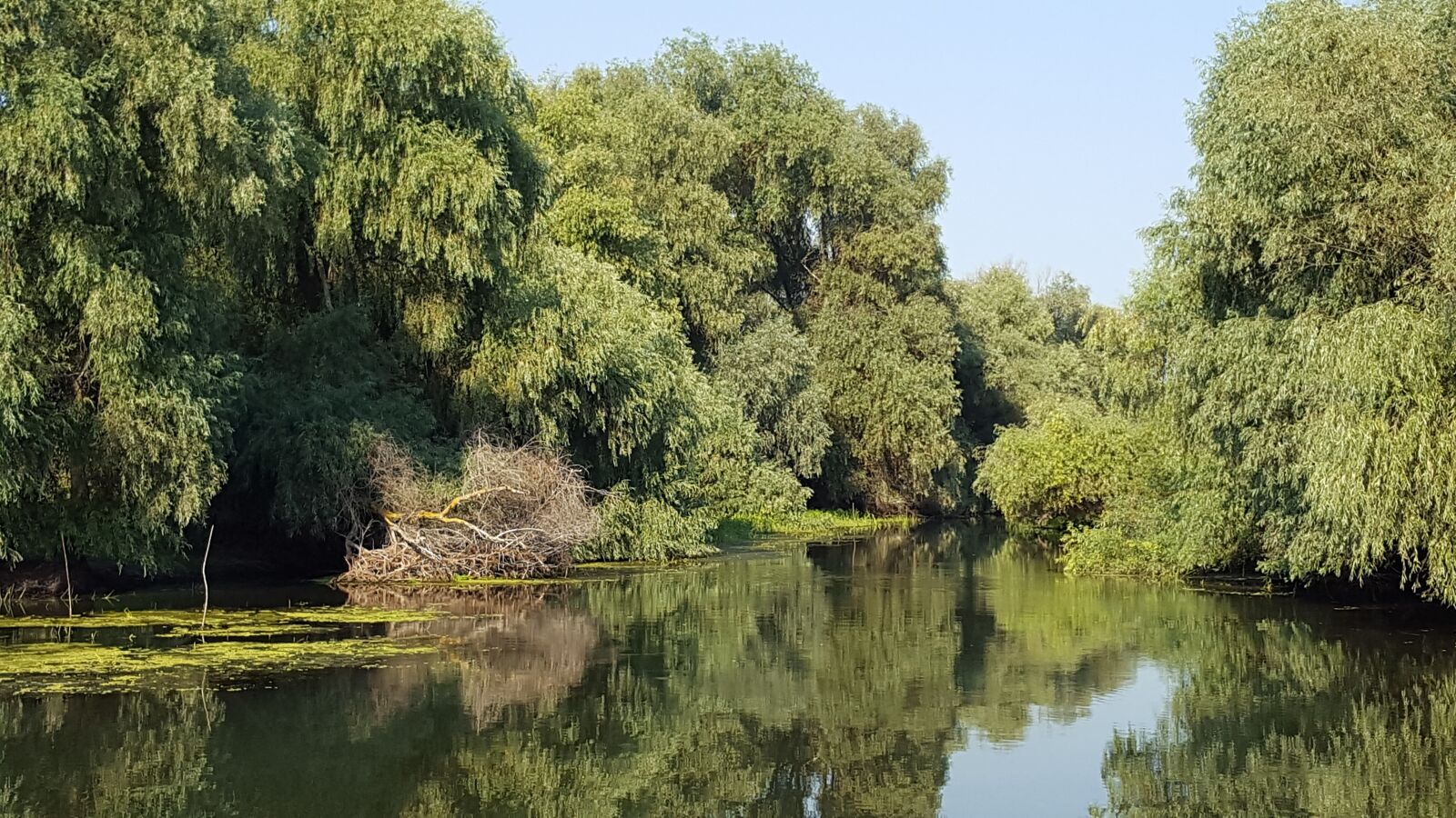 Samsung Galaxy S6 sample photo. Delta, romania, danube photography