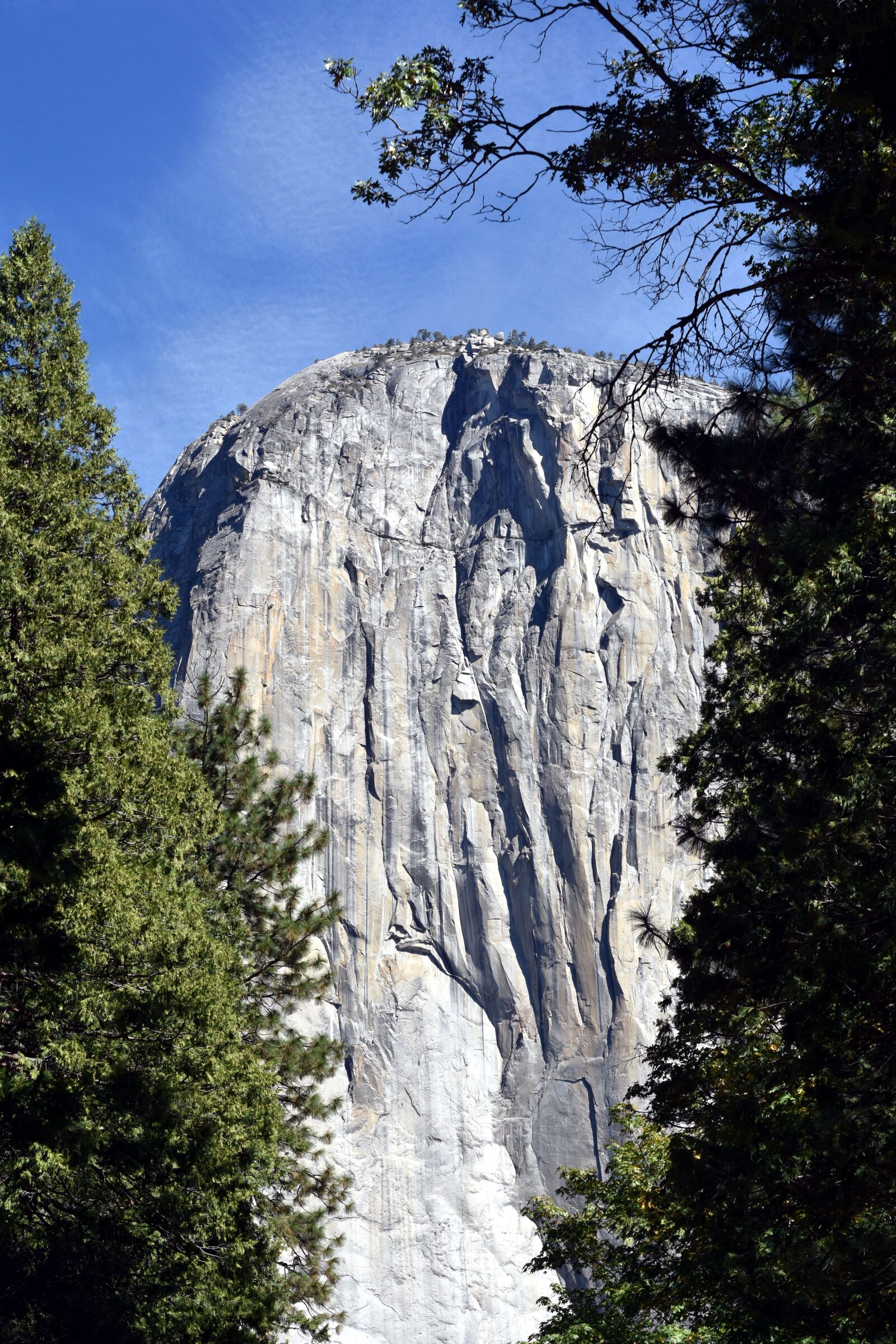Nikon D7200 sample photo. Mountain, trees, scenic photography