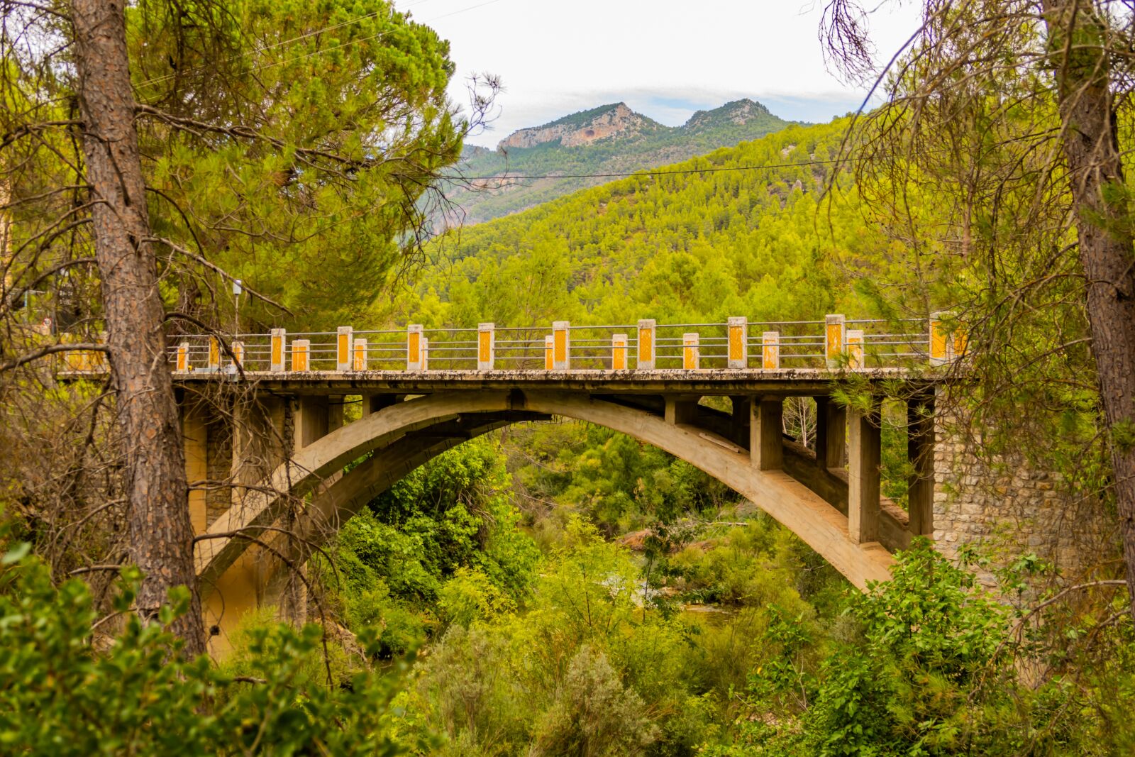 Panasonic DC-FZ10002 sample photo. Bridge, trees, mountain range photography