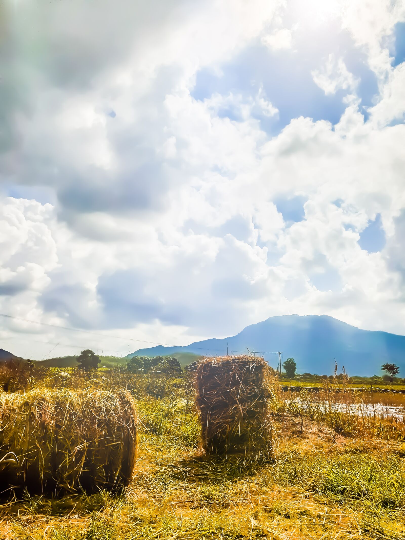 Samsung Galaxy A20 sample photo. Field, paddy field, heaven photography