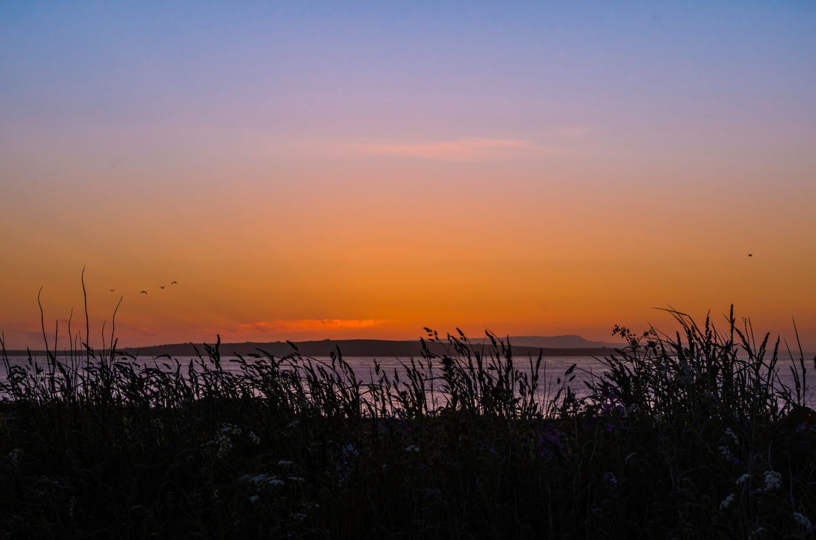 Pentax K-50 sample photo. Sunset, sky, evening sky photography