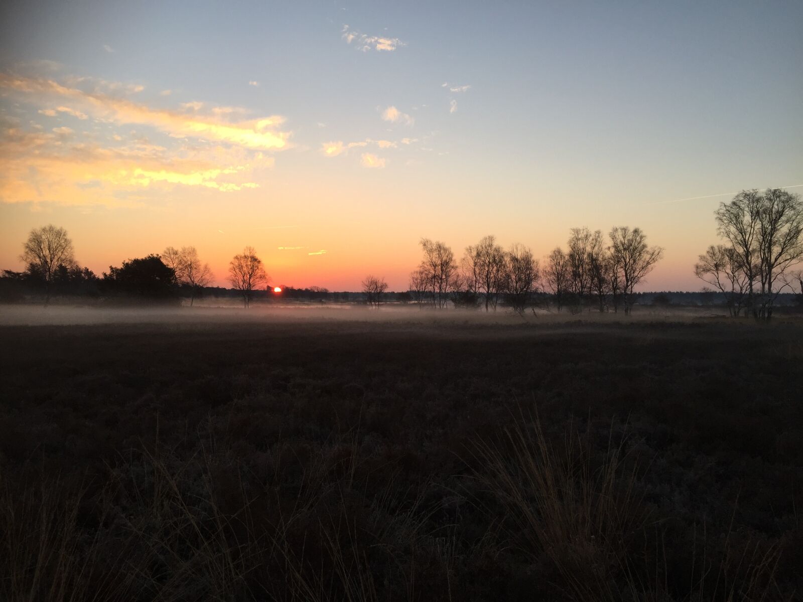 Apple iPhone 6 sample photo. Heide, evening, nature photography