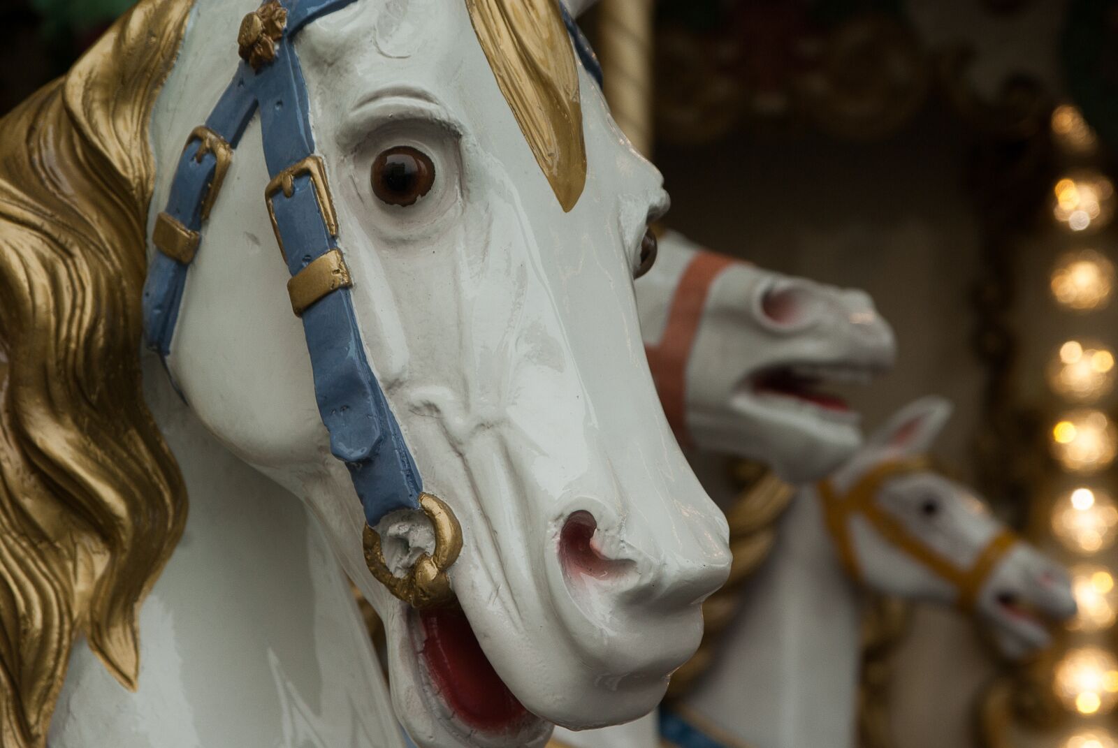 Pentax K10D sample photo. Manege, horses, wooden horses photography
